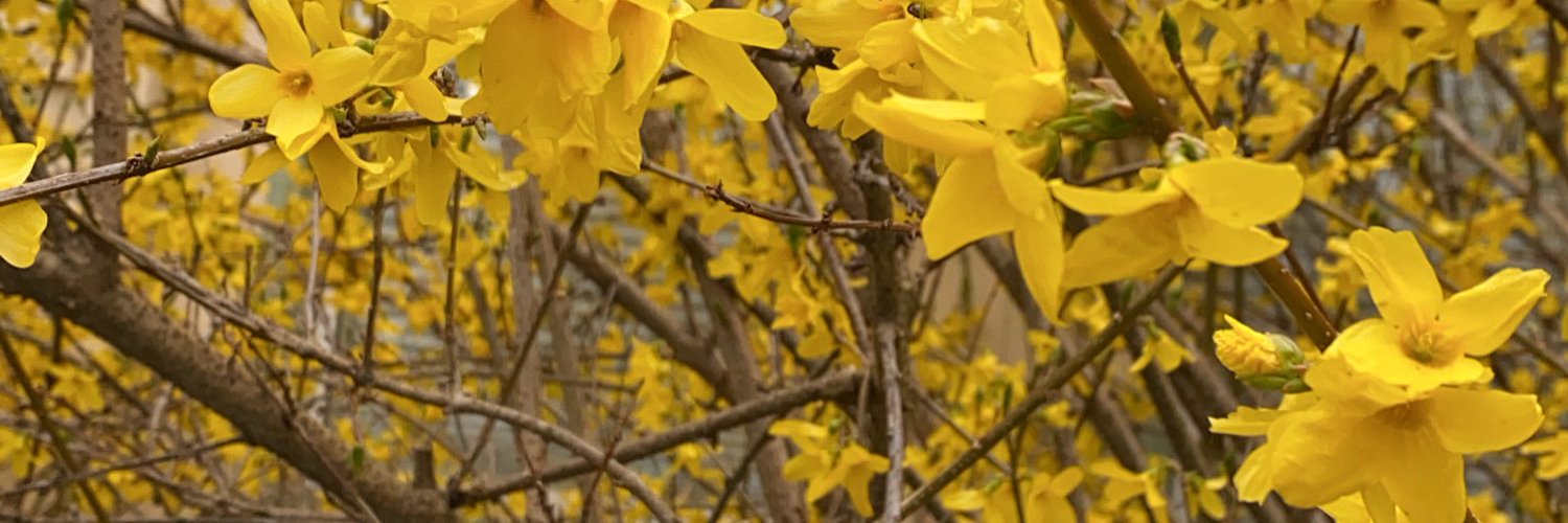 AustinTacious OnlyFans header