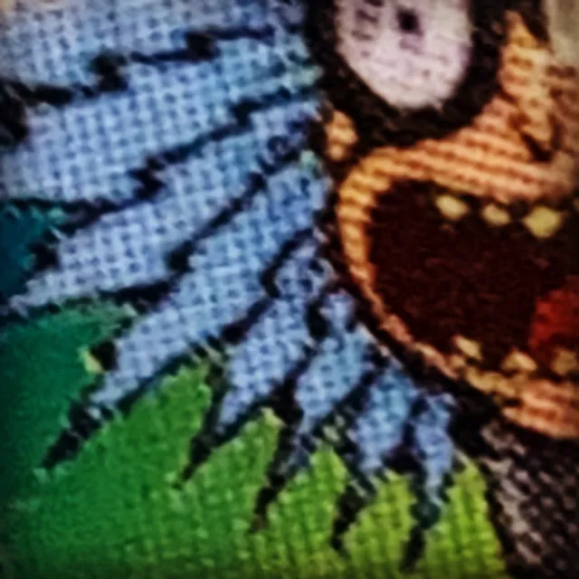 Austin OnlyFans header