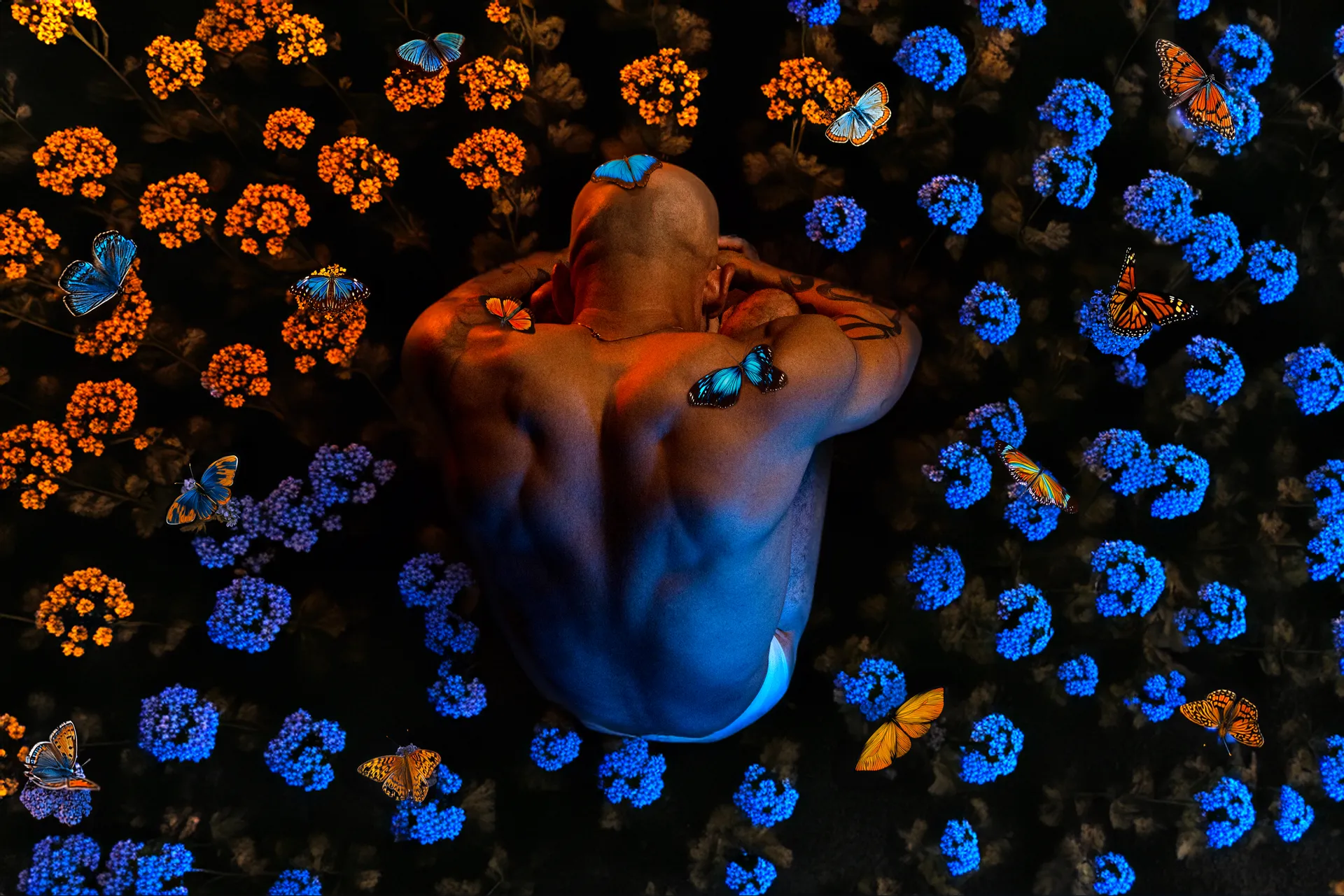 Austin Wilde OnlyFans header