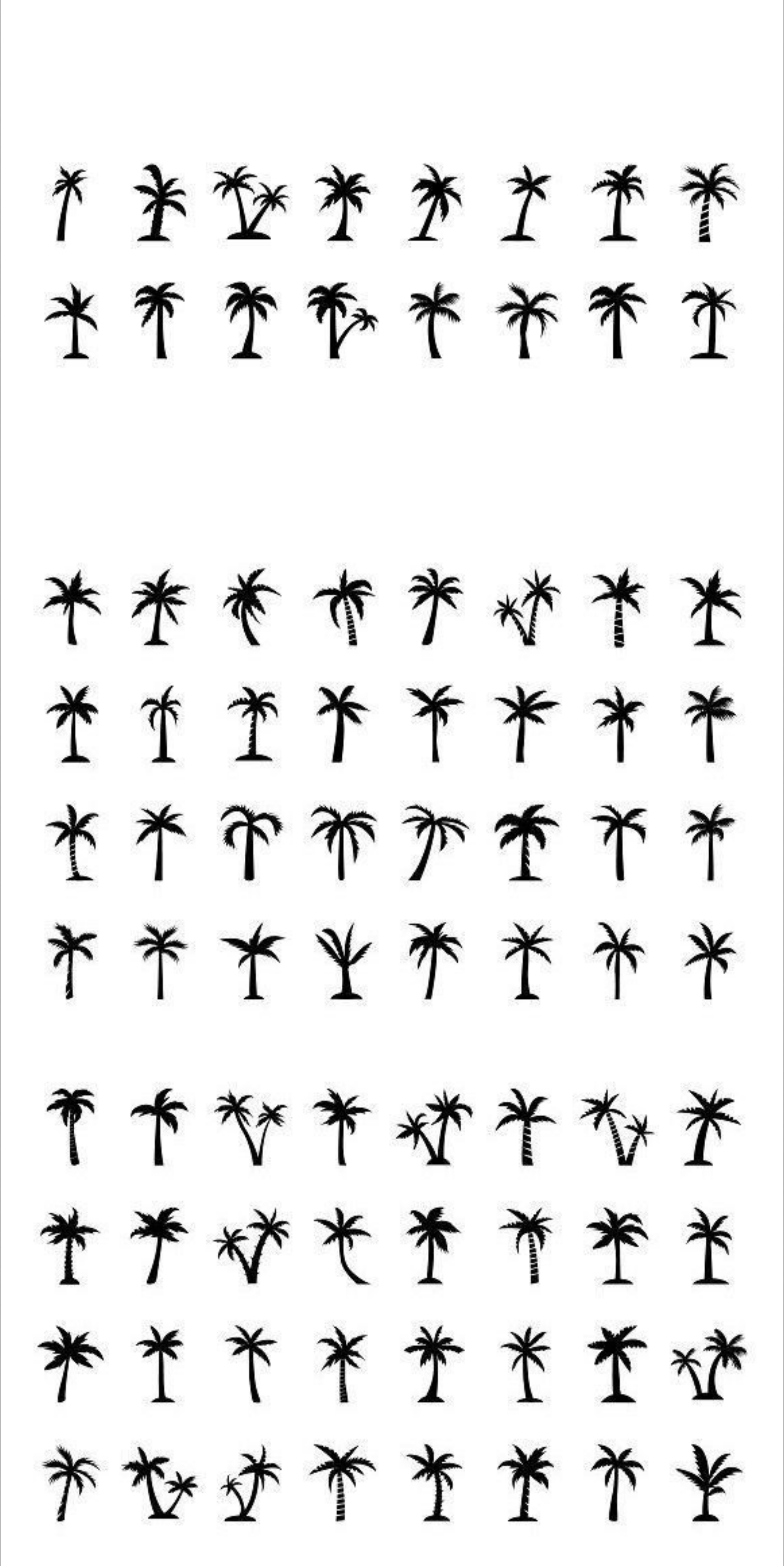 Aus Track OnlyFans header