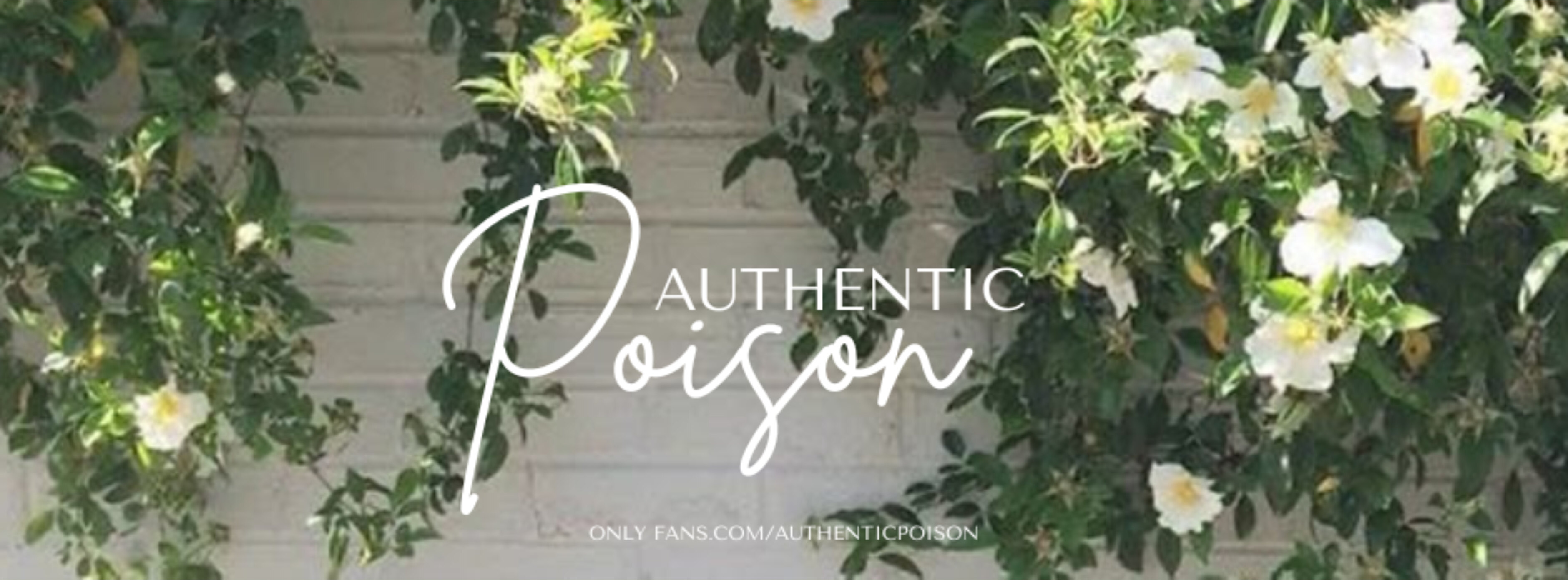 Poison OnlyFans header