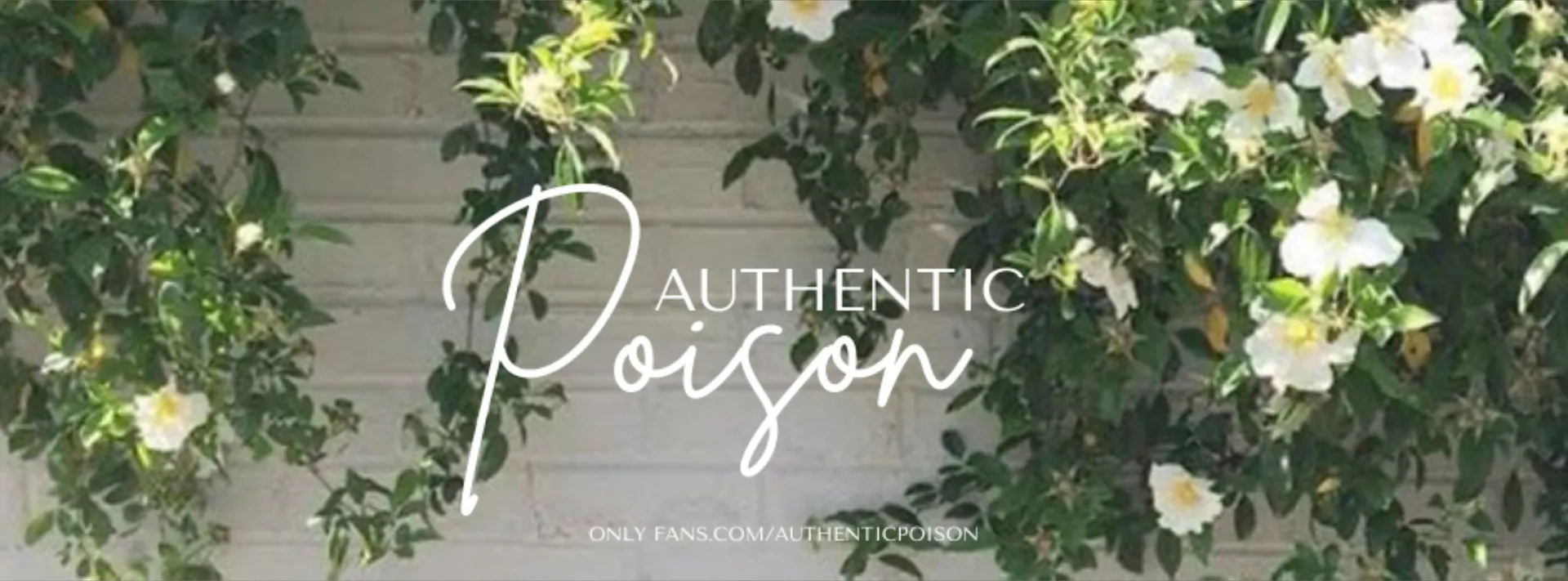 Poison OnlyFans header