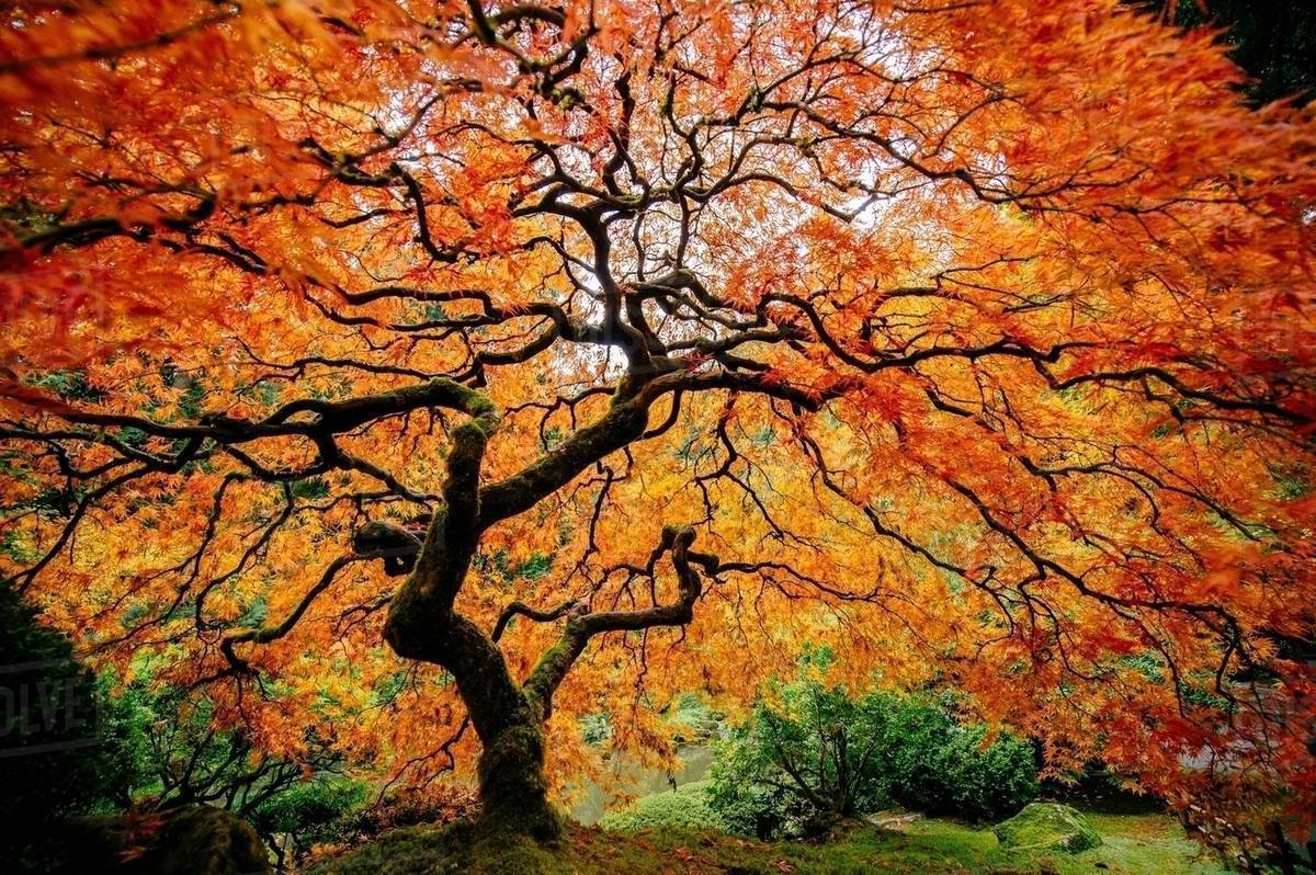 Autumn 🍁🍂 OnlyFans header