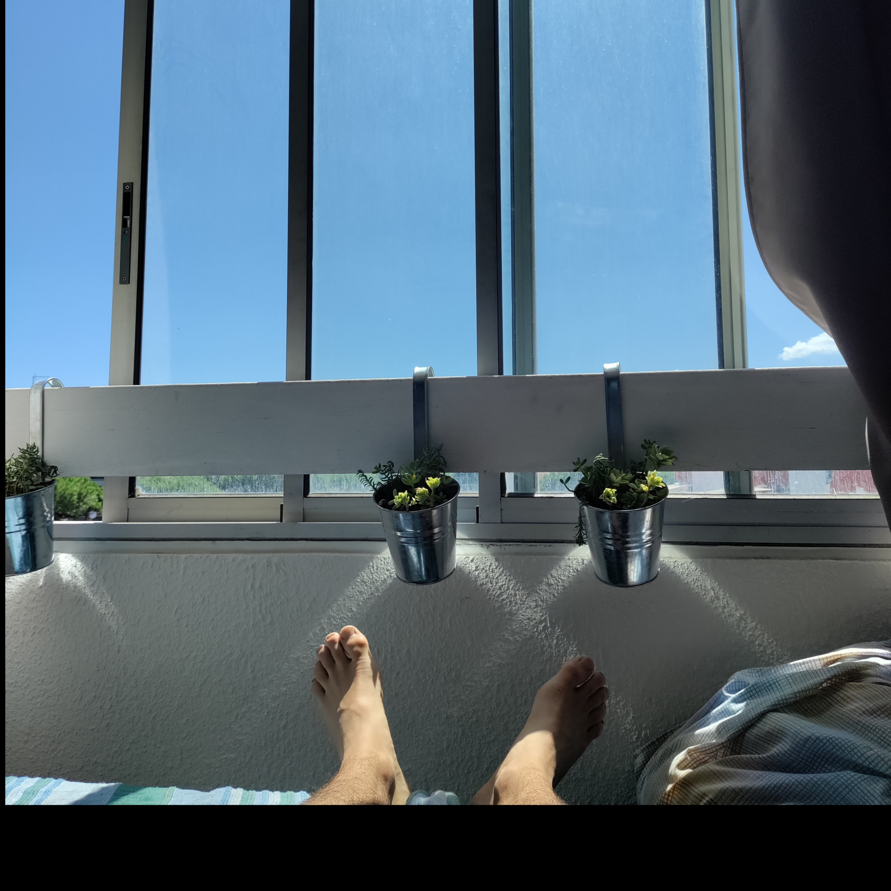 taco toqué OnlyFans header