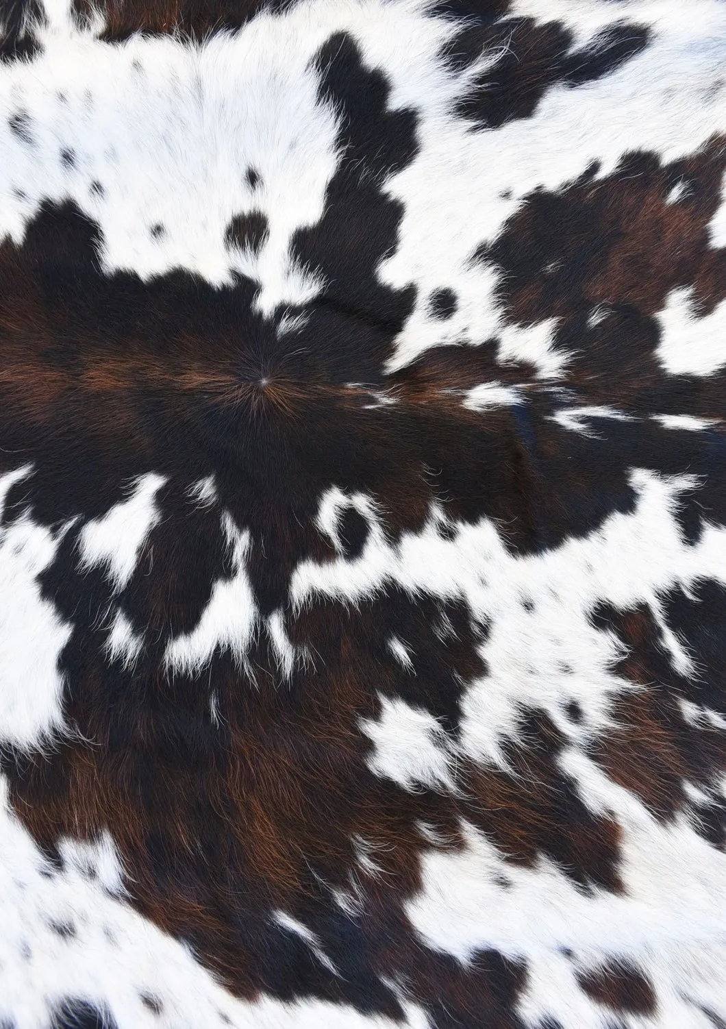 Autumn 😘 OnlyFans header