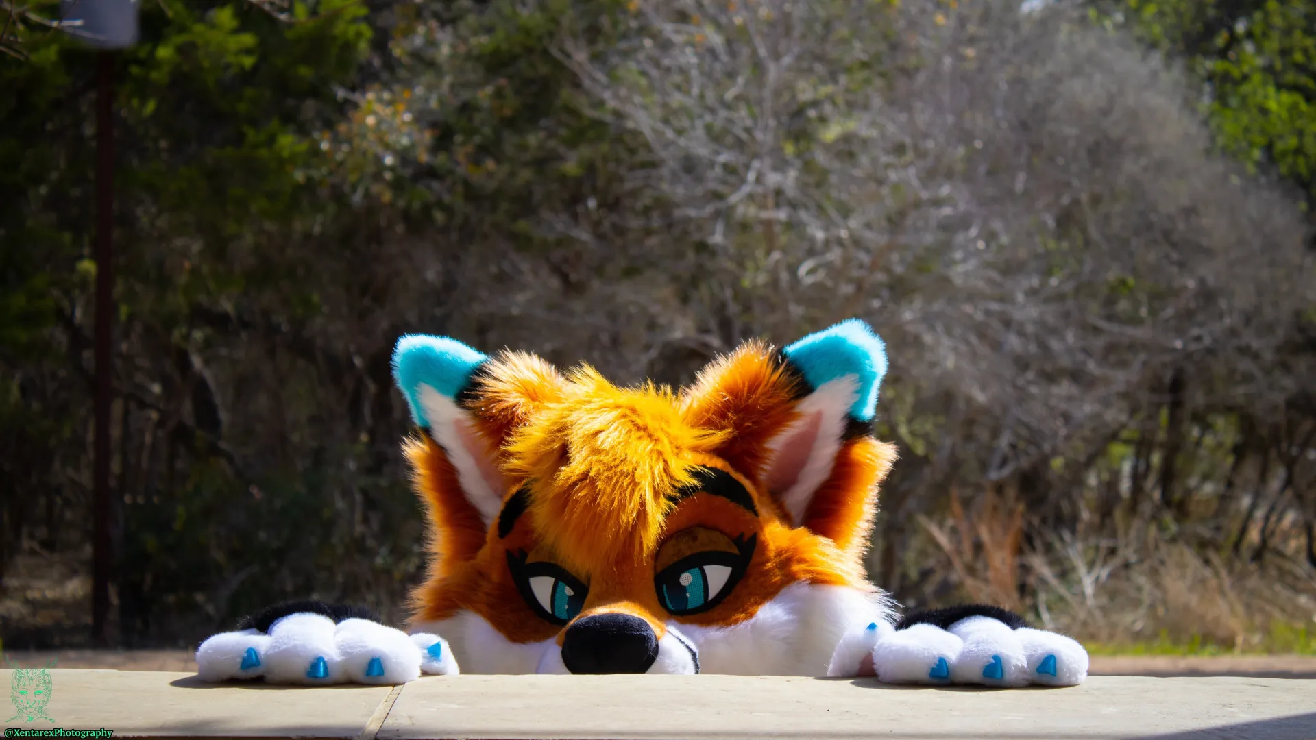 Autumn OnlyFans header