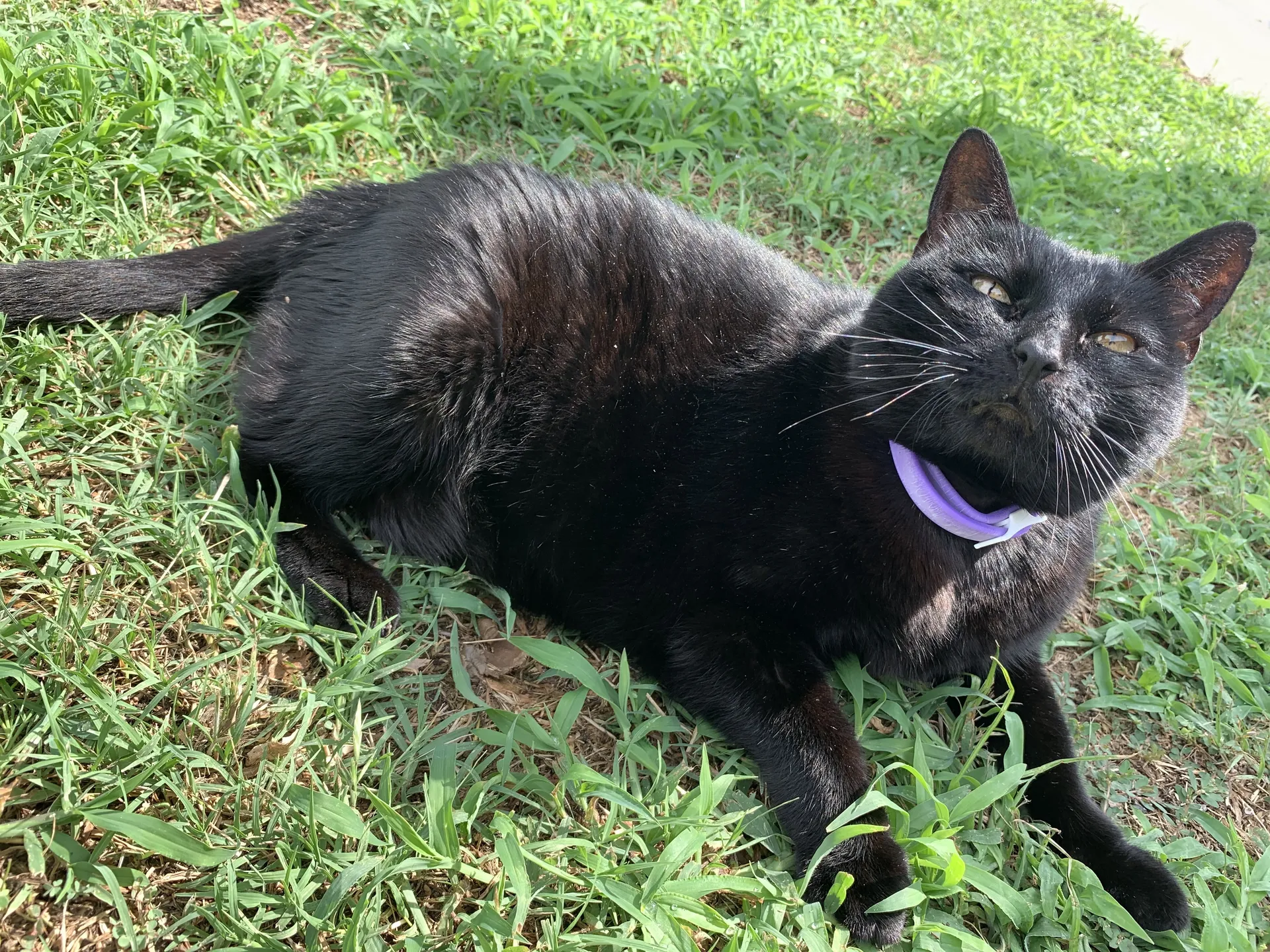 Autumn OnlyFans header