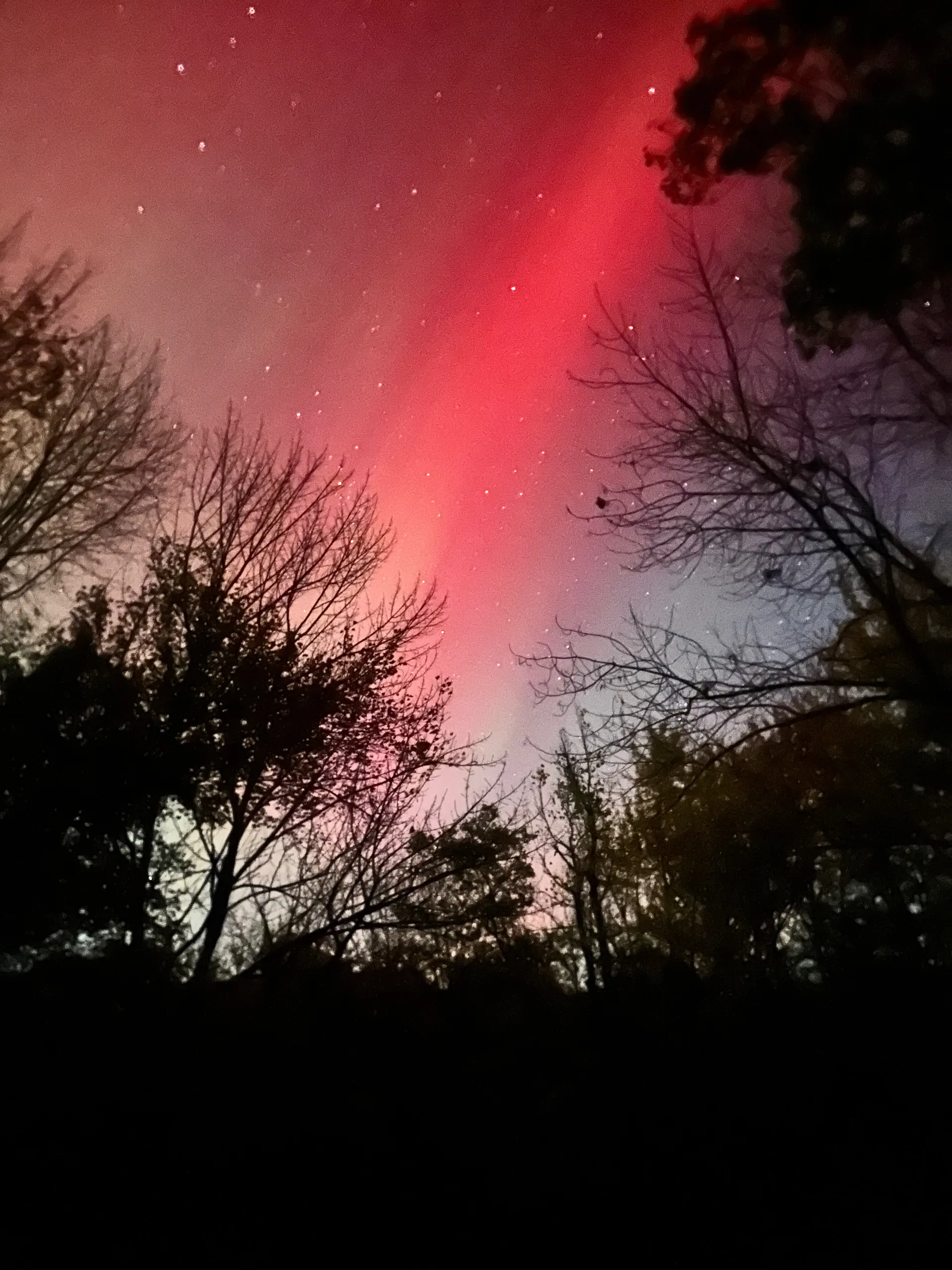 Autumn Nights OnlyFans header