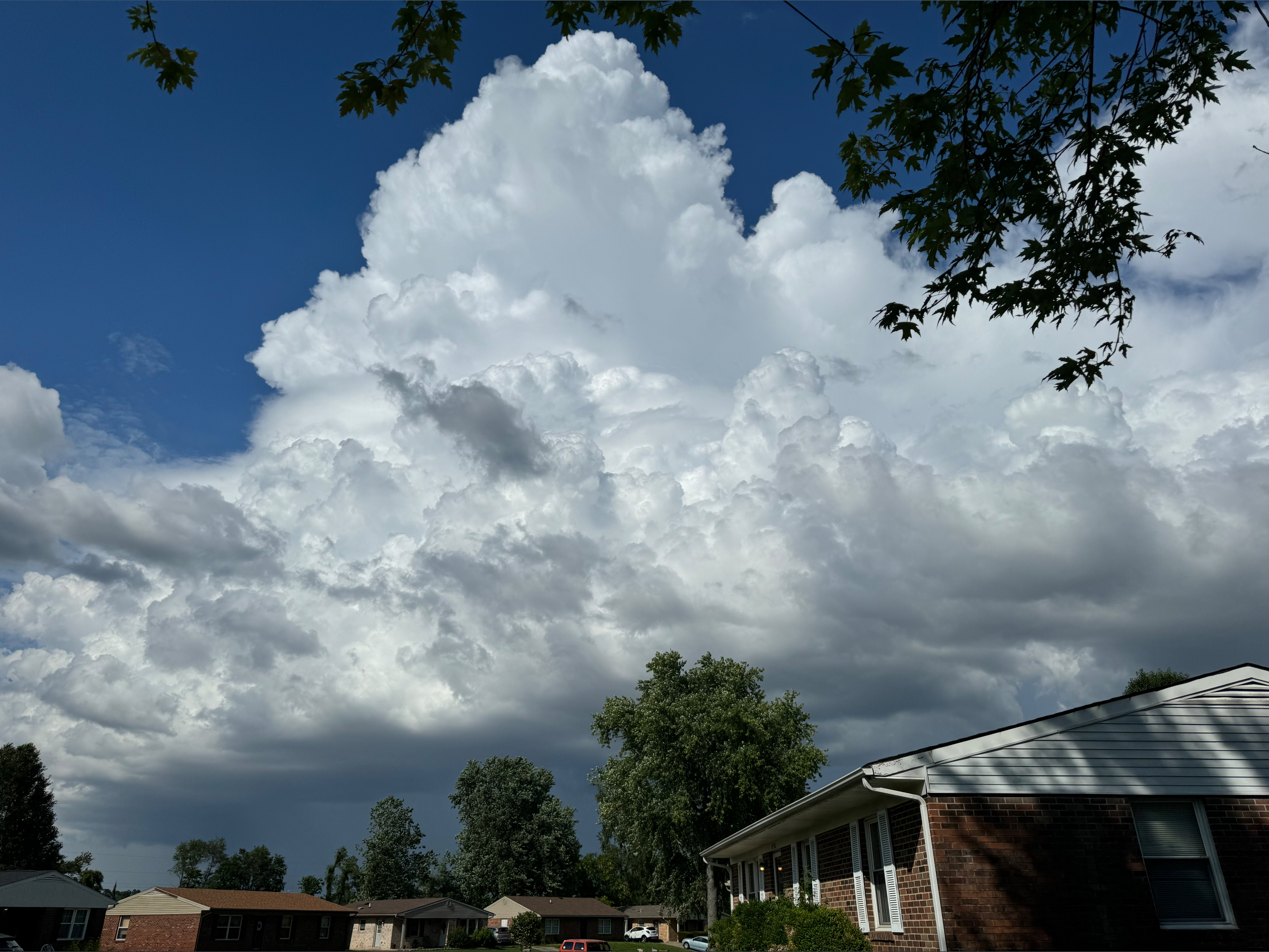 Autumn Spider OnlyFans header