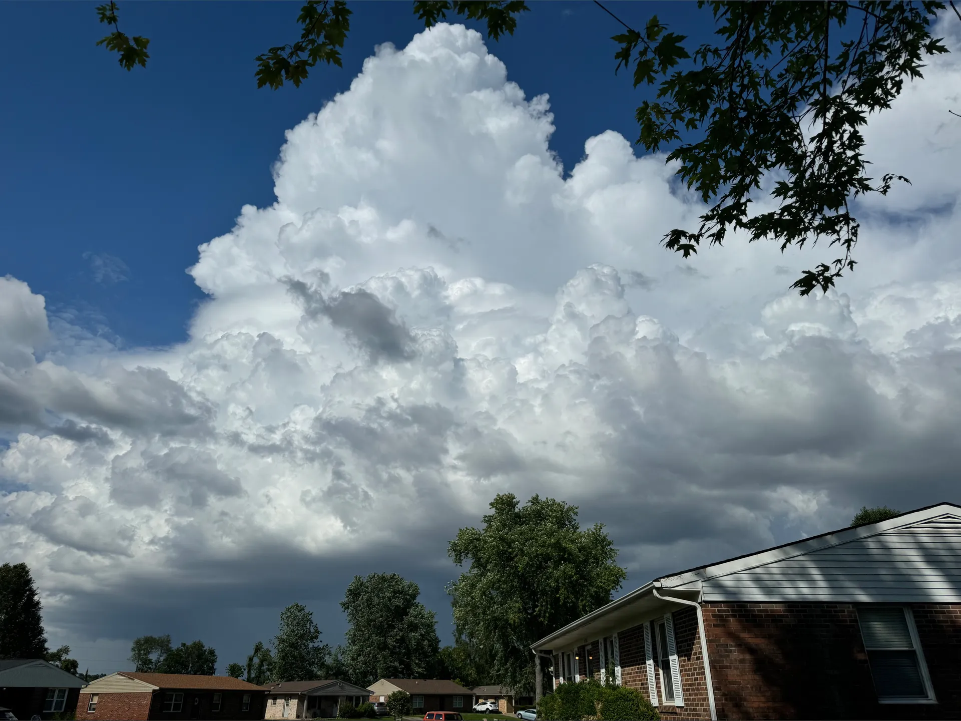 Autumn Spider OnlyFans header