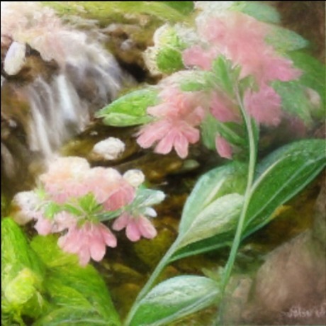 Autumn Springs OnlyFans header