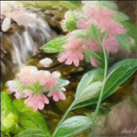 Autumn Springs OnlyFans header