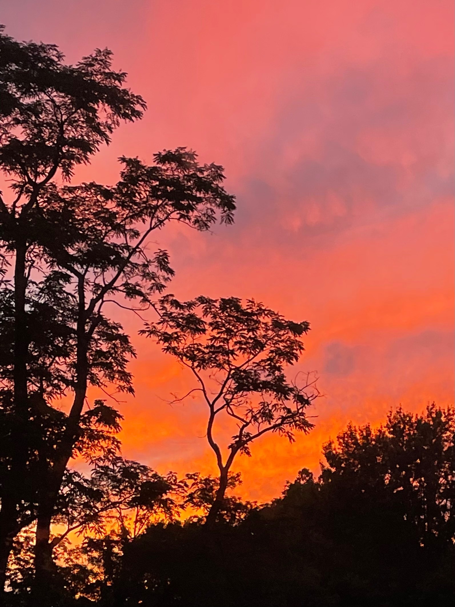 🍑🍑Autumn Rain Kisses 🍂💦😘 OnlyFans header