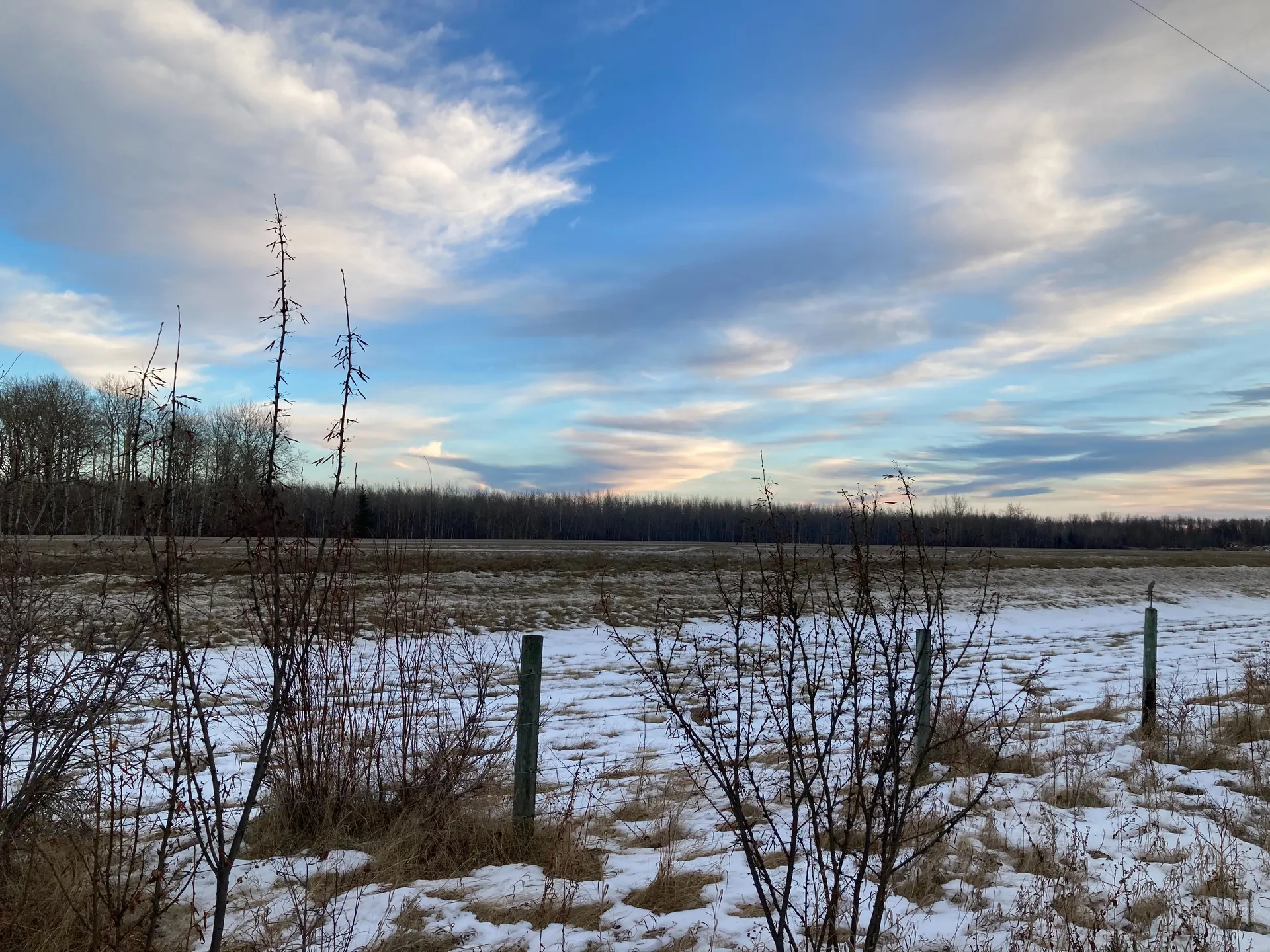 Ava-Lynn OnlyFans header