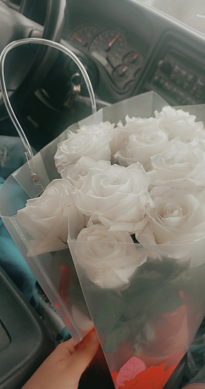 Ava white OnlyFans header