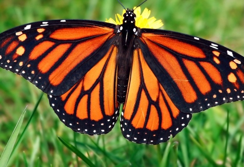 AvaHazel OnlyFans header