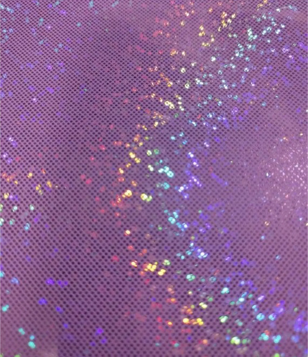 Ava Reed OnlyFans header