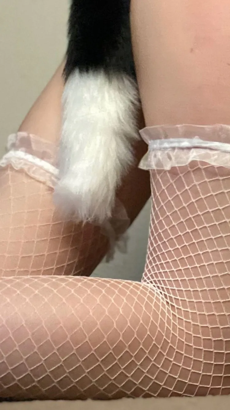 Ava (Free) (previews) OnlyFans header