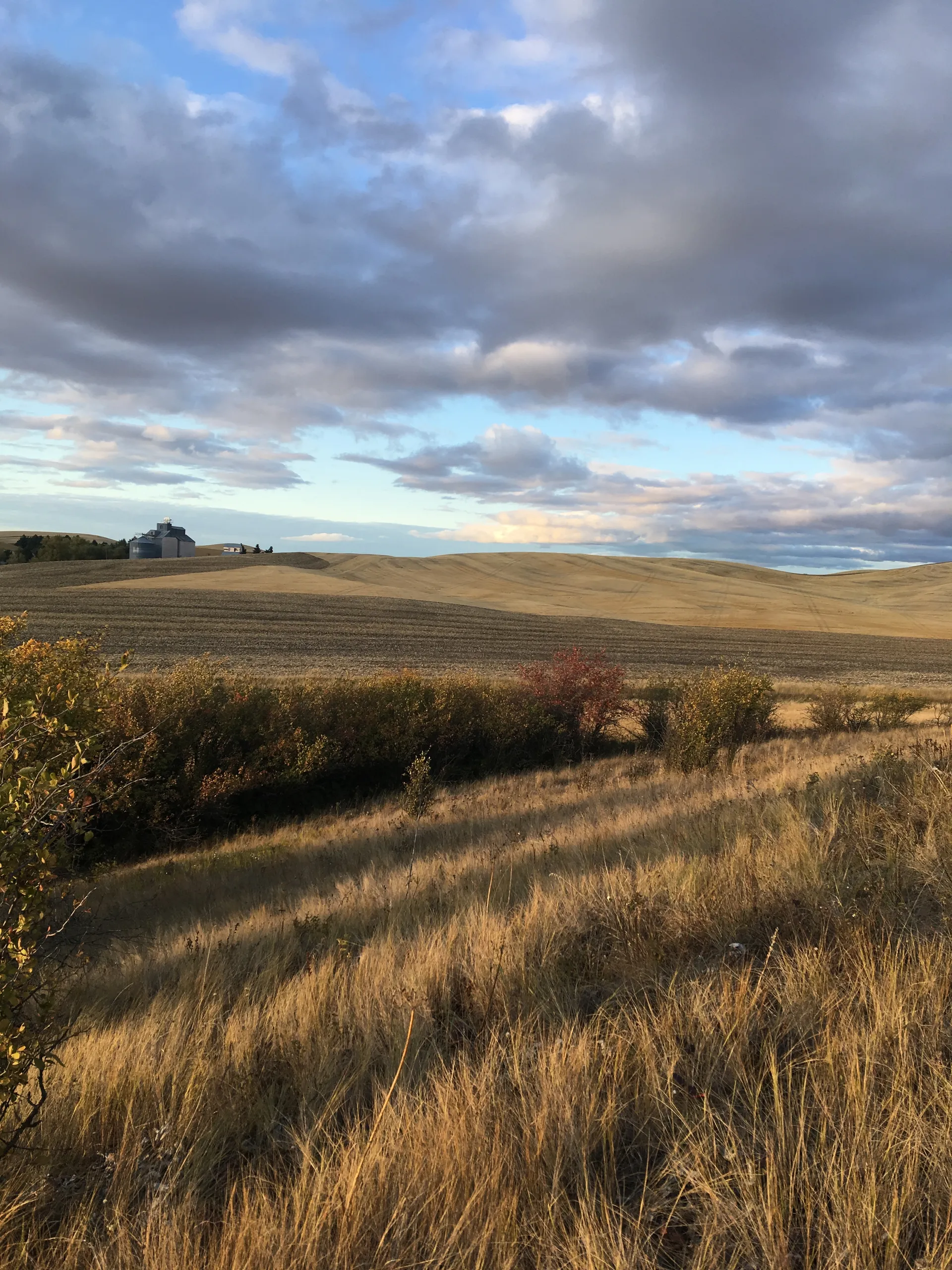 Ava Jo OnlyFans header