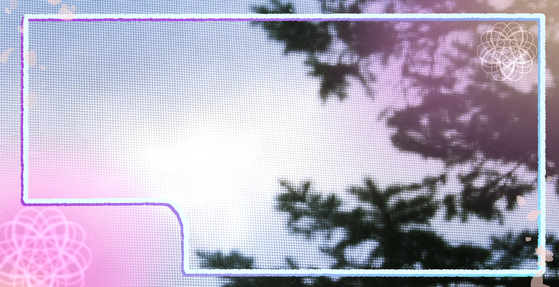 Ava Lee Amor OnlyFans header