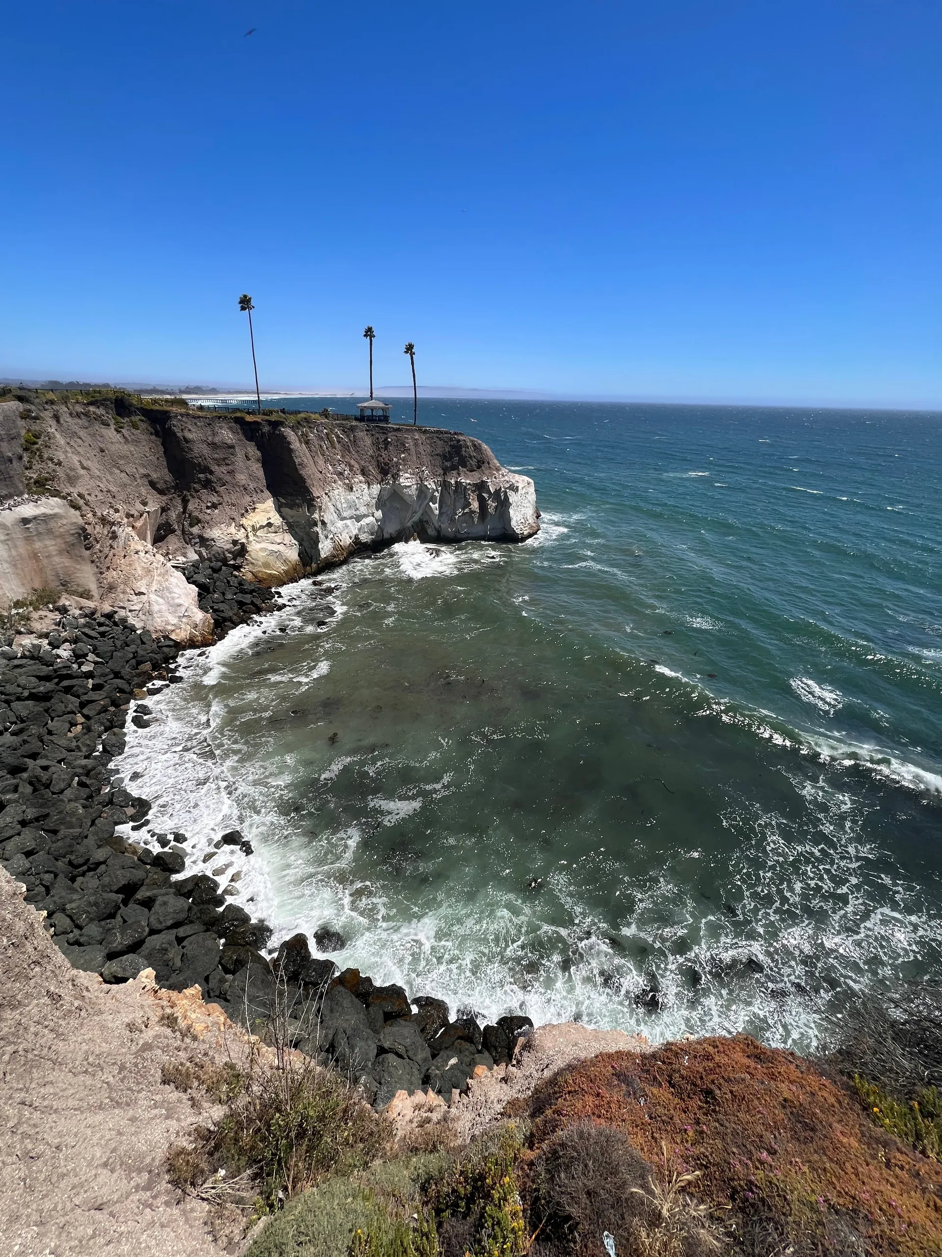 Ava shurtz OnlyFans header