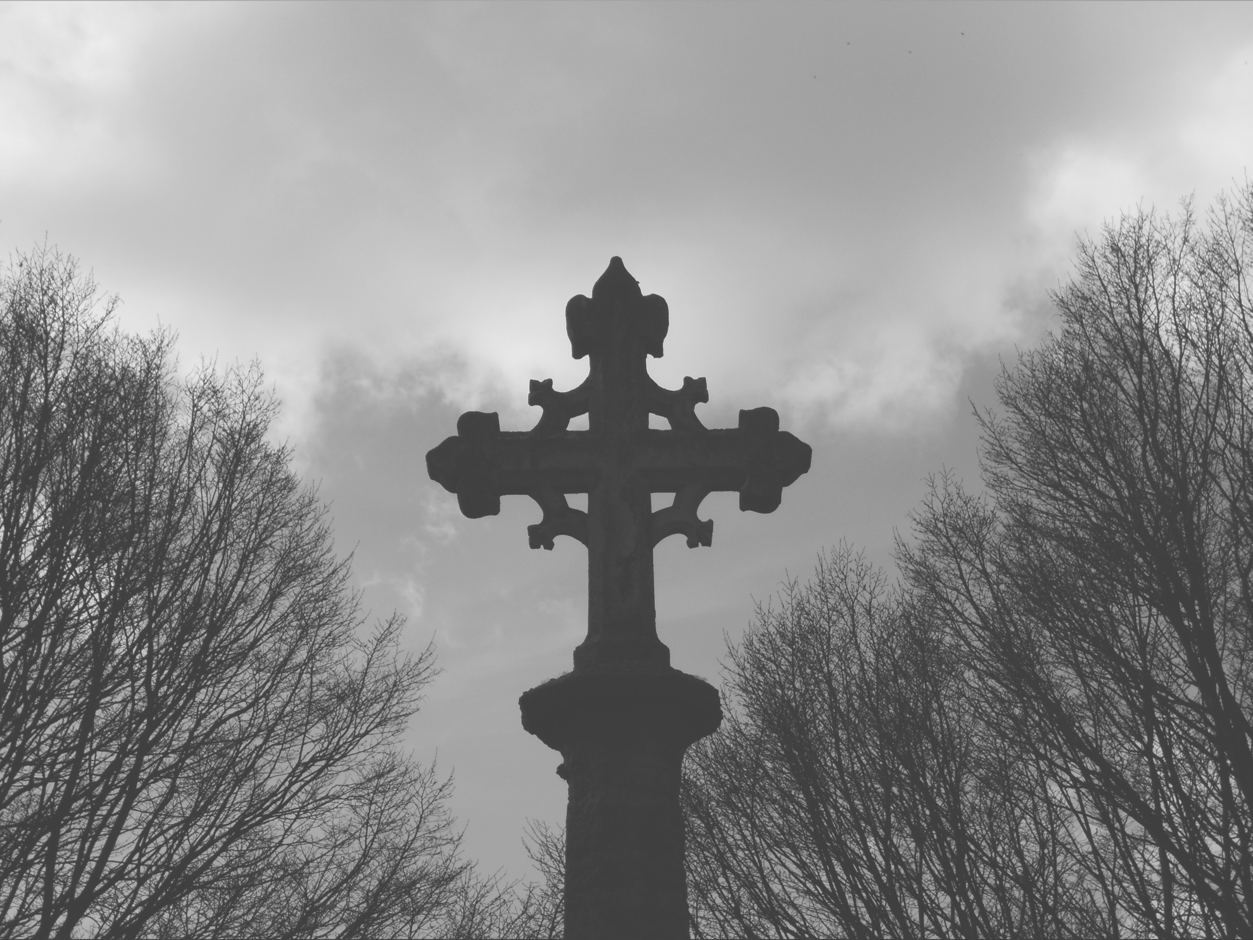 ⛓️𝕬𝖁𝕬⛓ OnlyFans header