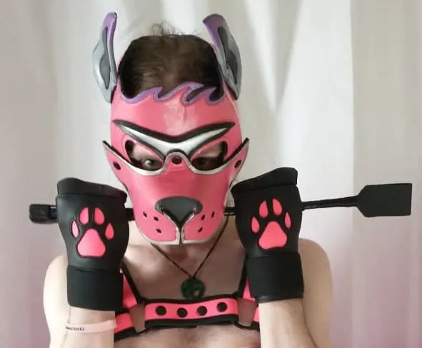 AVALONtheK9 OnlyFans header