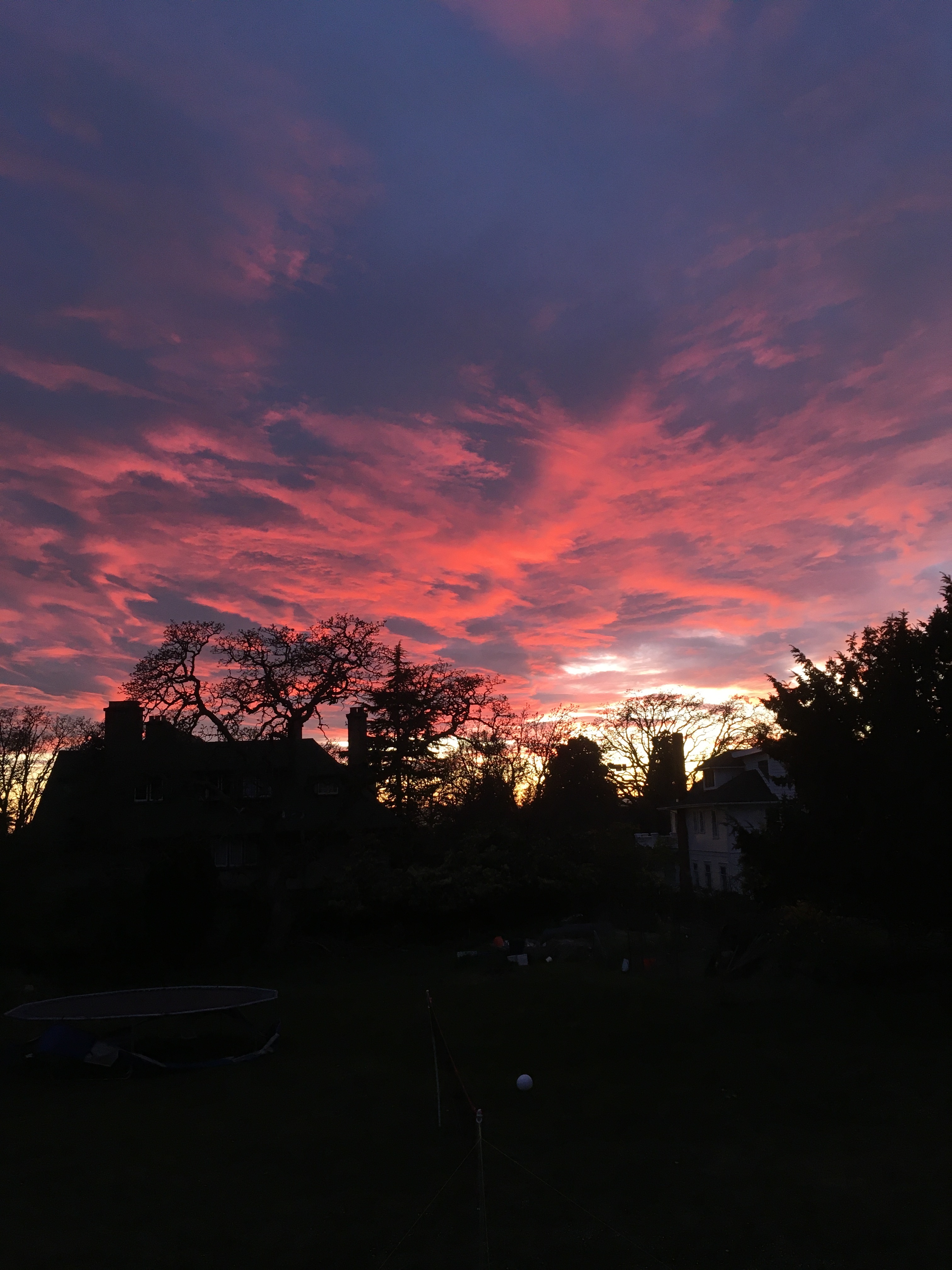 Avalon OnlyFans header