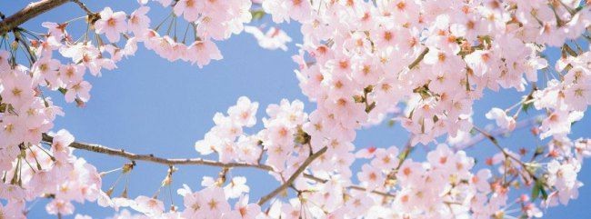 Av🦋 OnlyFans header