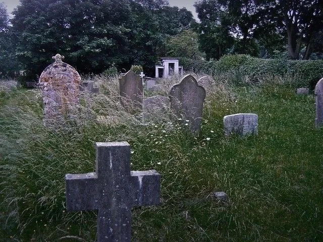 ♡ Ava ♡ OnlyFans header