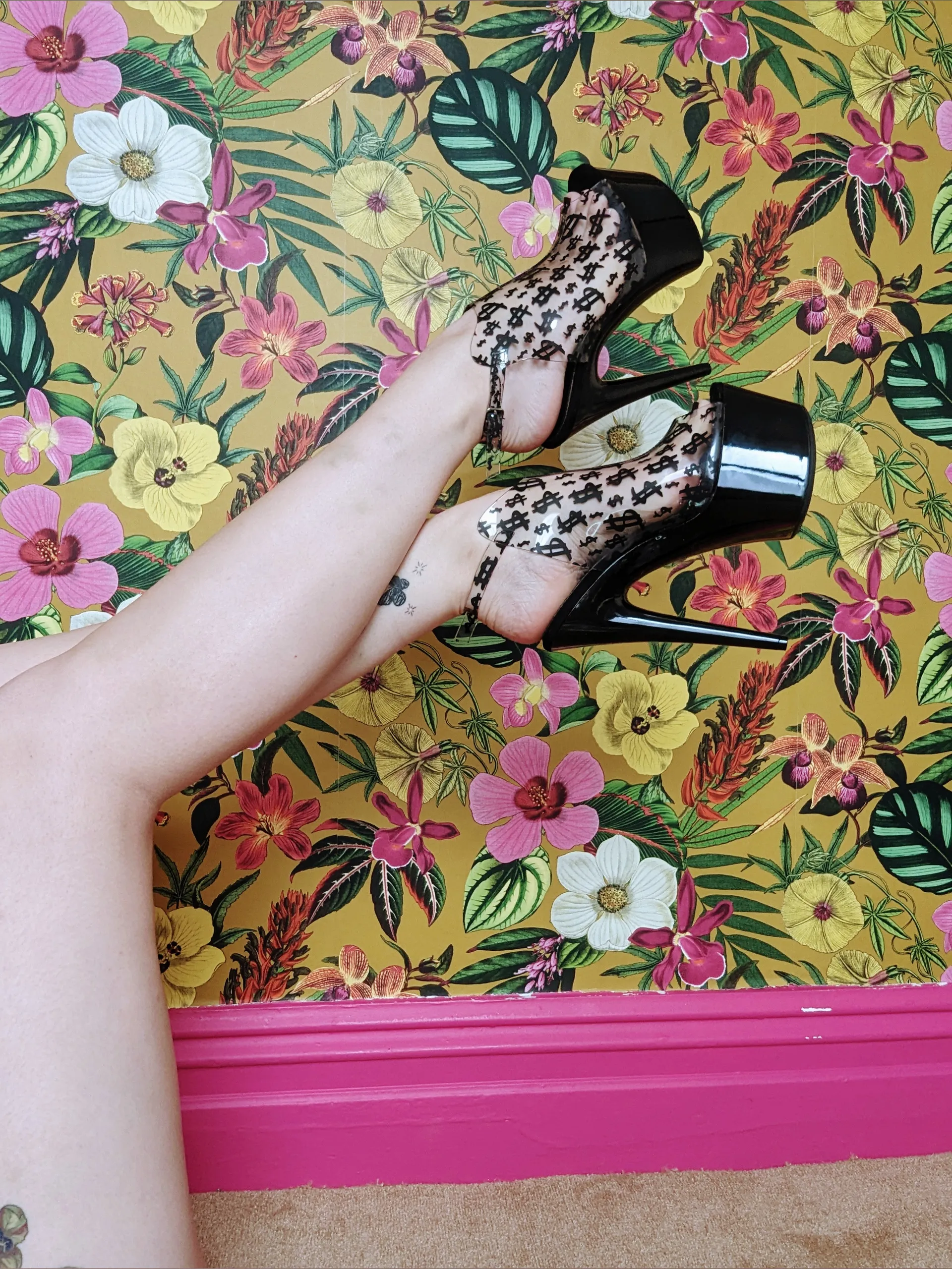 Ava Rose OnlyFans header