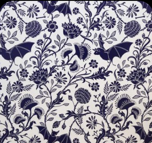 AvaXv OnlyFans header