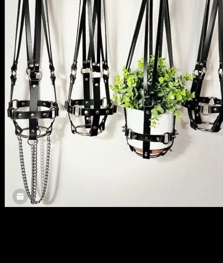 Ava xxx Adore OnlyFans header