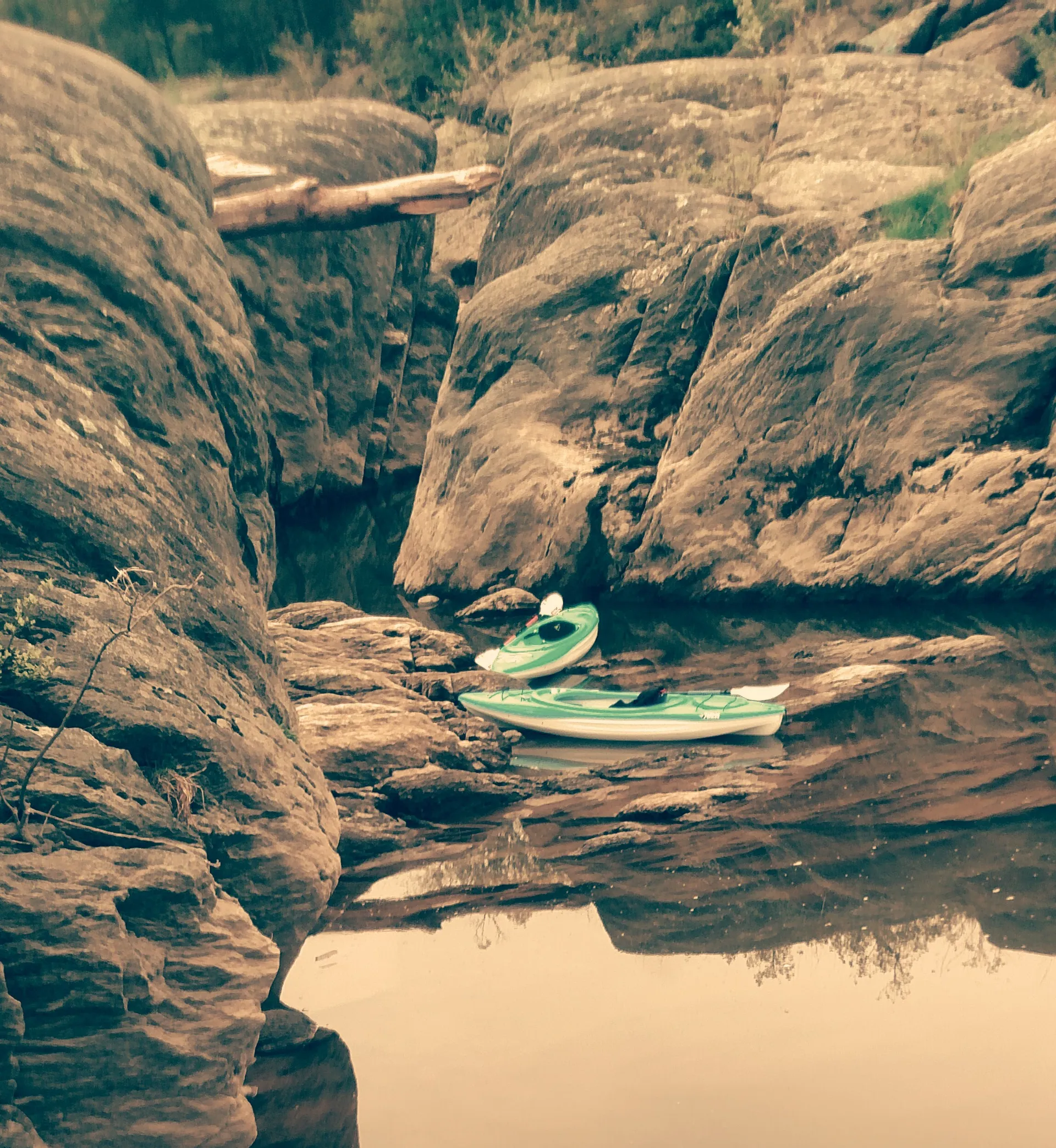 Average Otter OnlyFans header