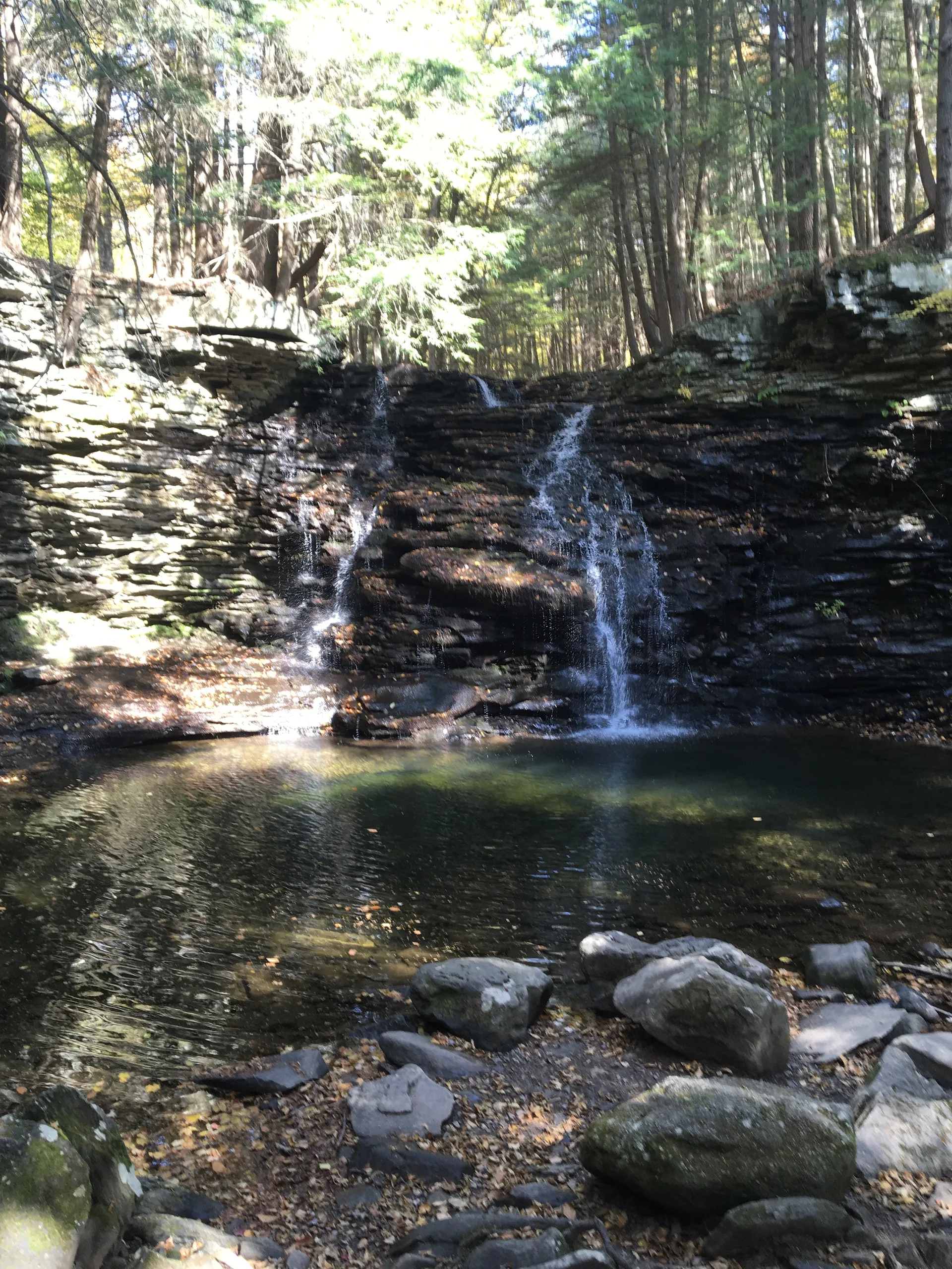 Donnie B OnlyFans header