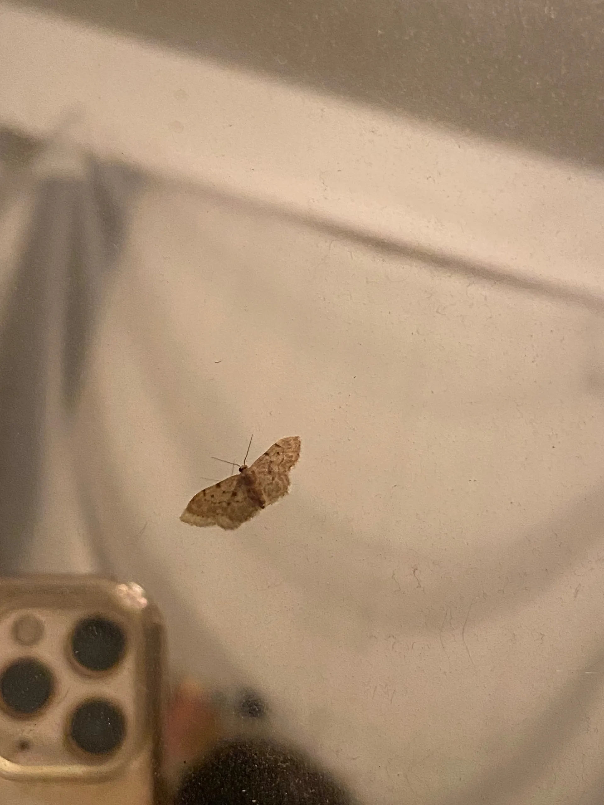 dreens OnlyFans header