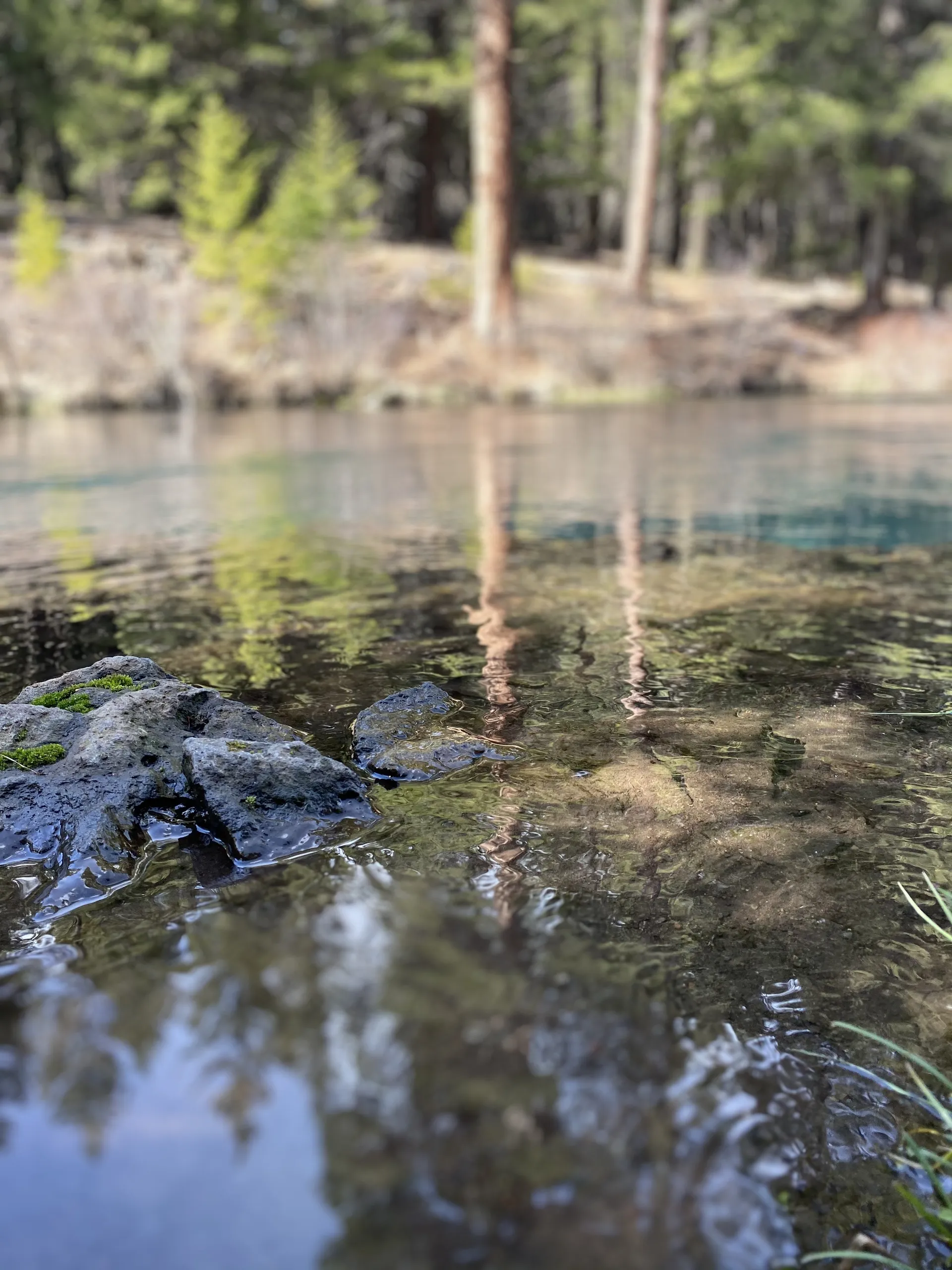 AverageDaddy40 OnlyFans header