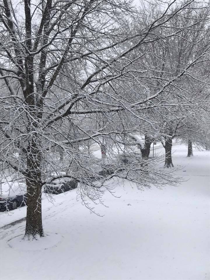 Chase OnlyFans header