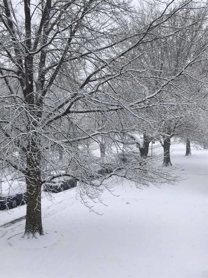 Chase OnlyFans header