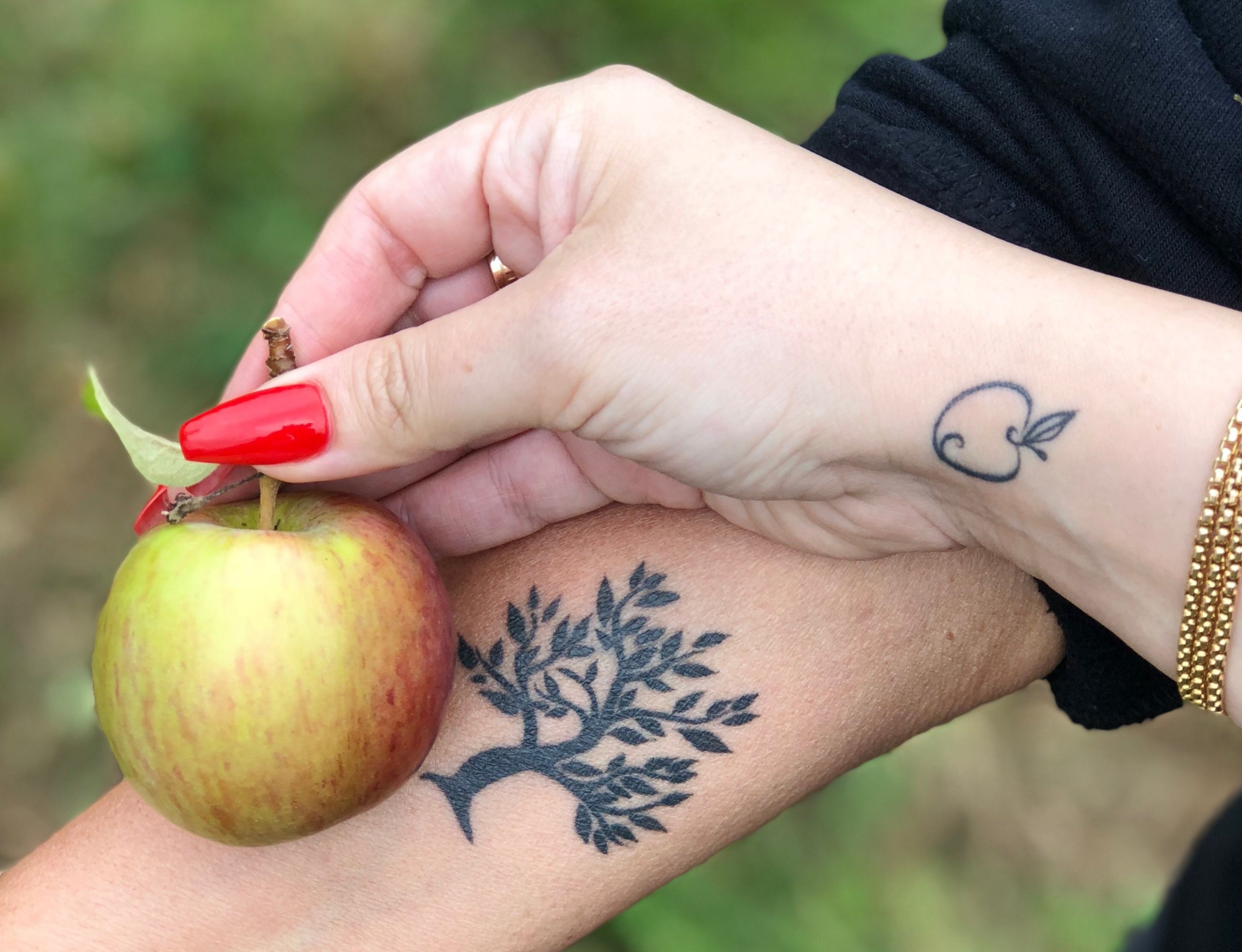 Katalina Guapa OnlyFans header