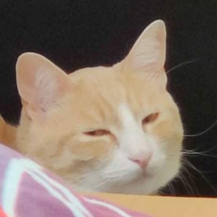 averageoni OnlyFans header