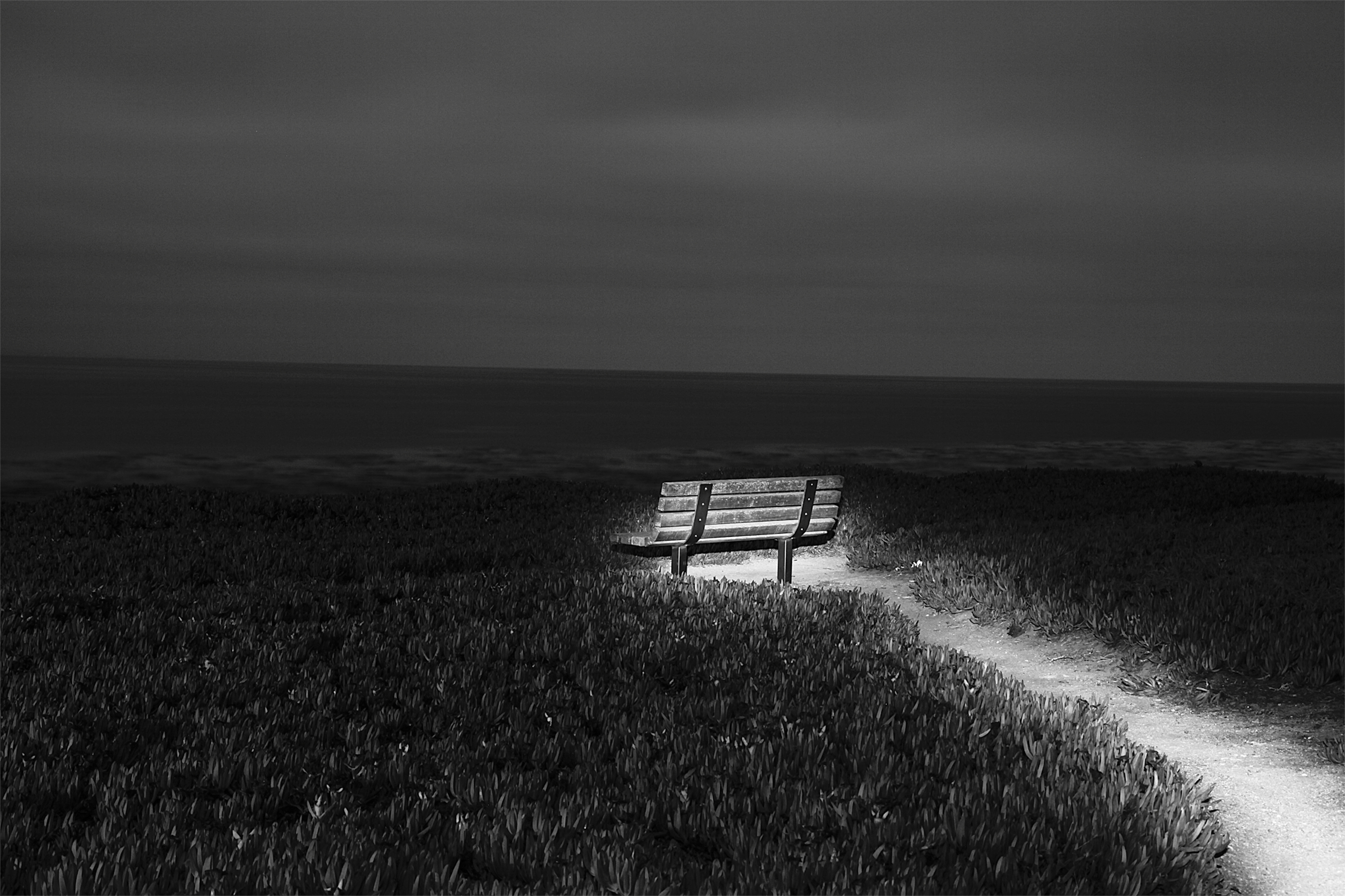 Average Panda OnlyFans header