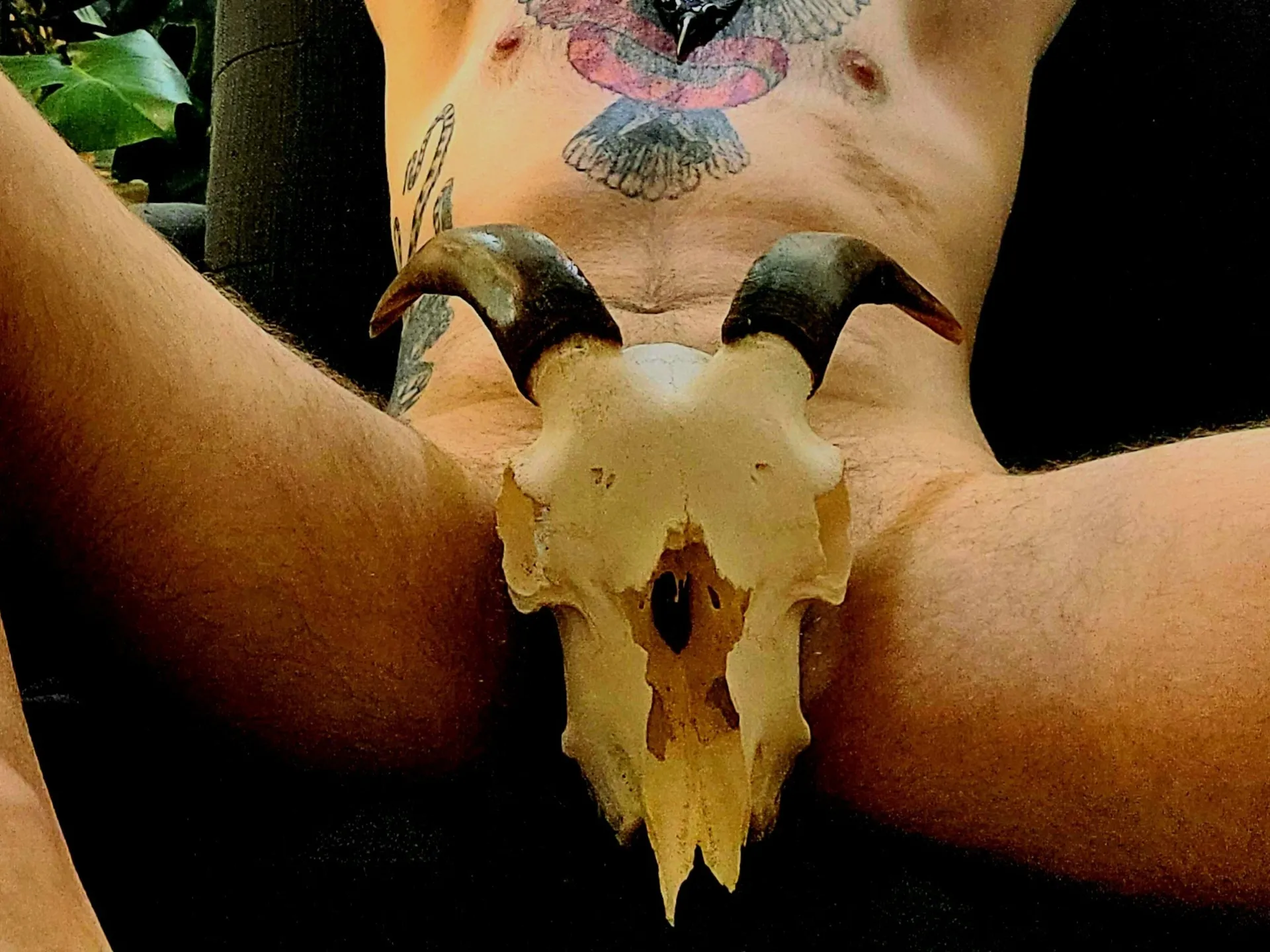 Averybody OnlyFans header