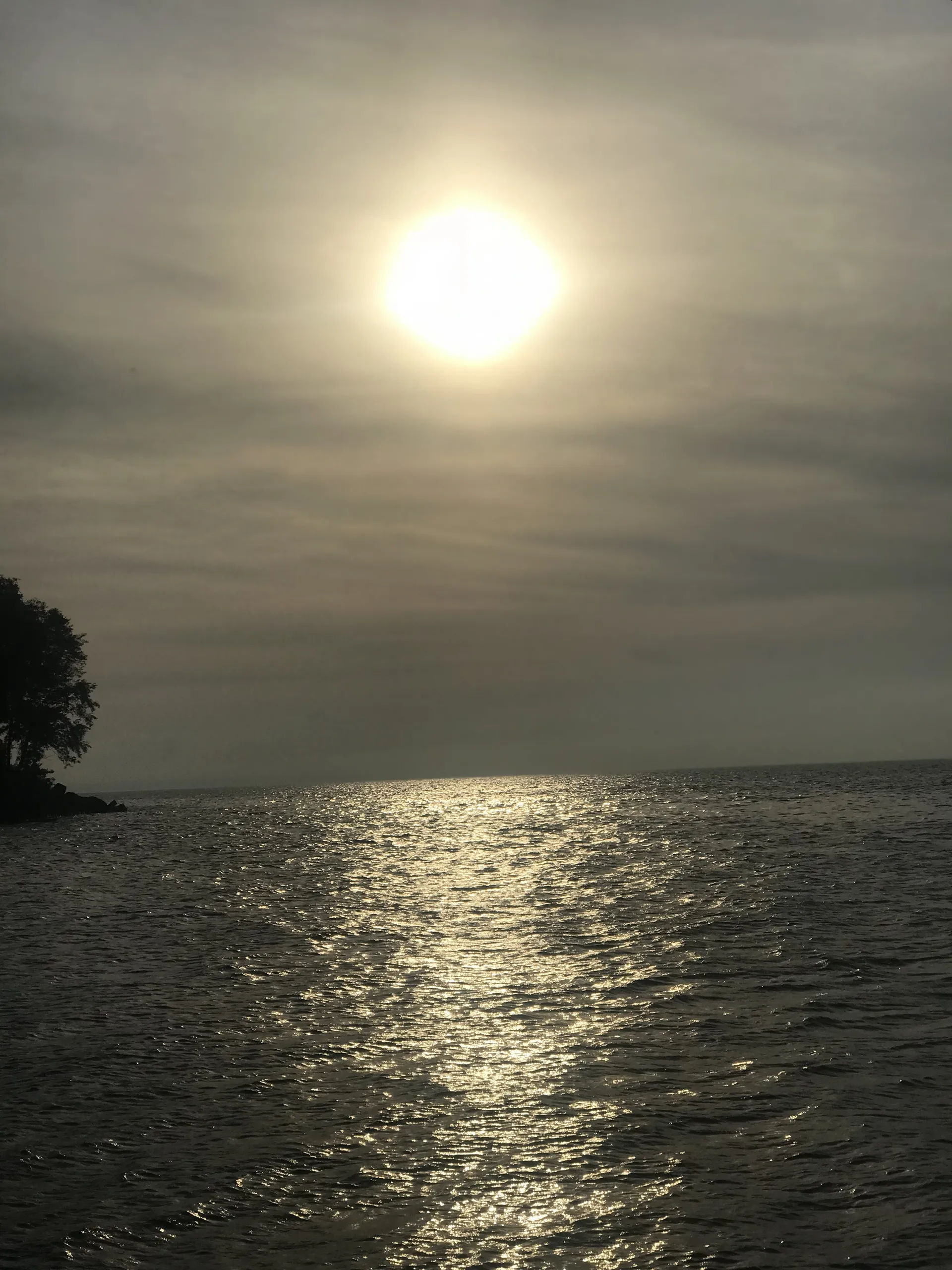 Avery OnlyFans header