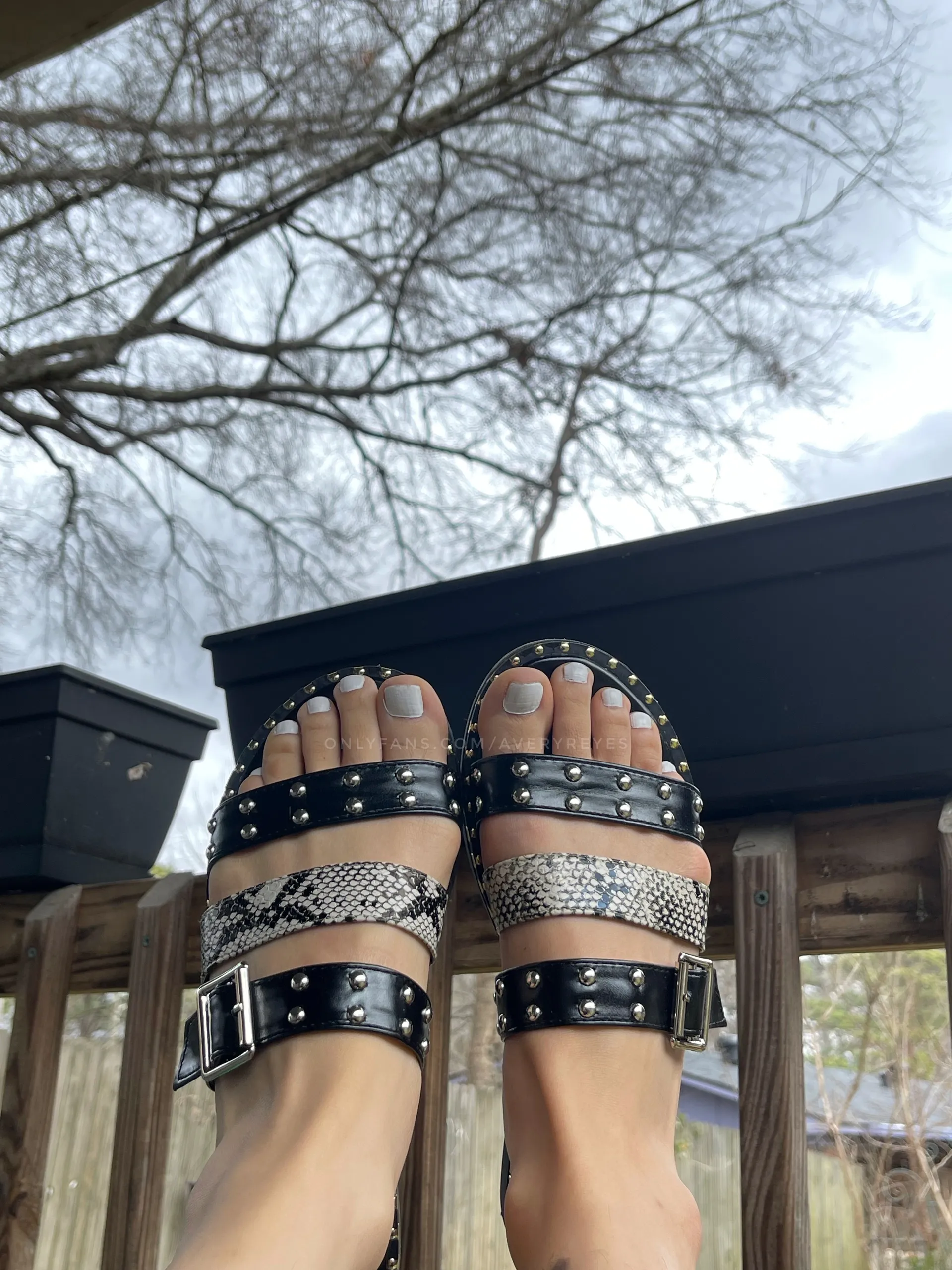 avery ⭐️ OnlyFans header