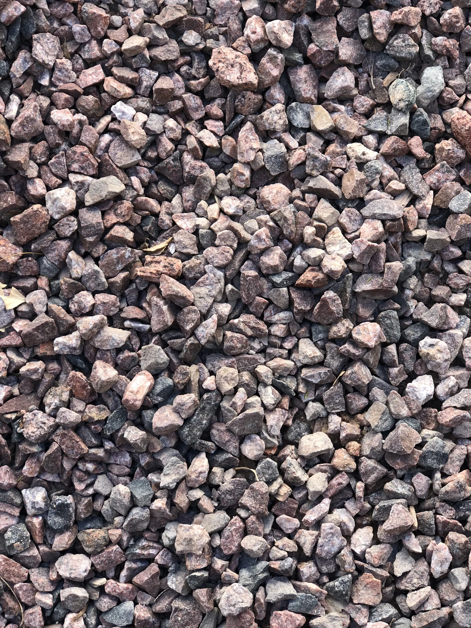 Avery Rose OnlyFans header