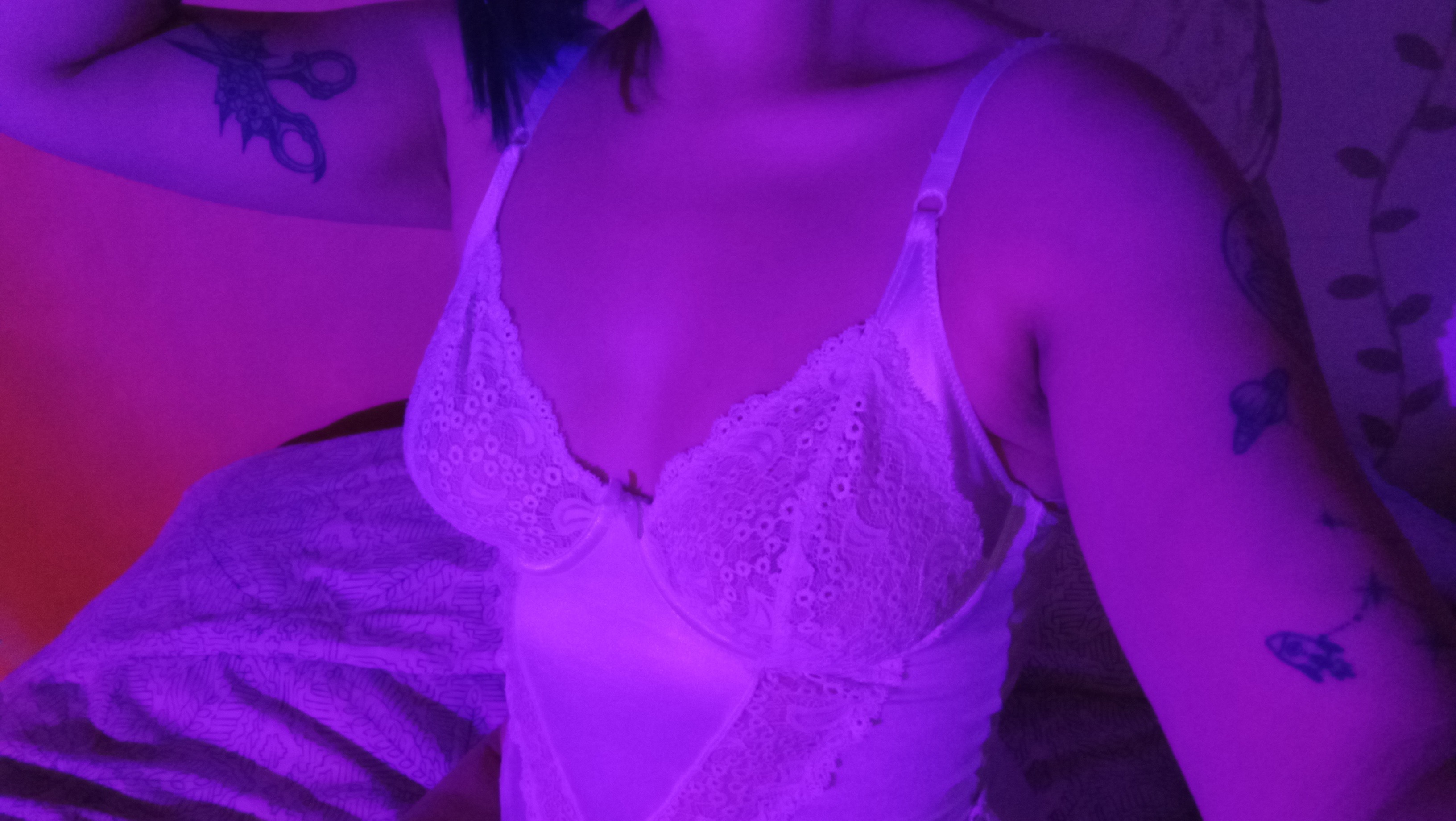 Catlady OnlyFans header