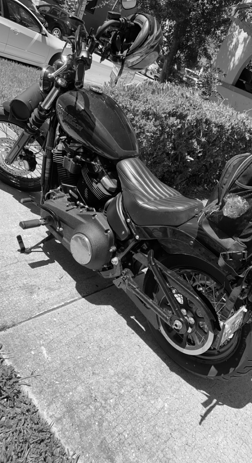 Avi Williams OnlyFans header