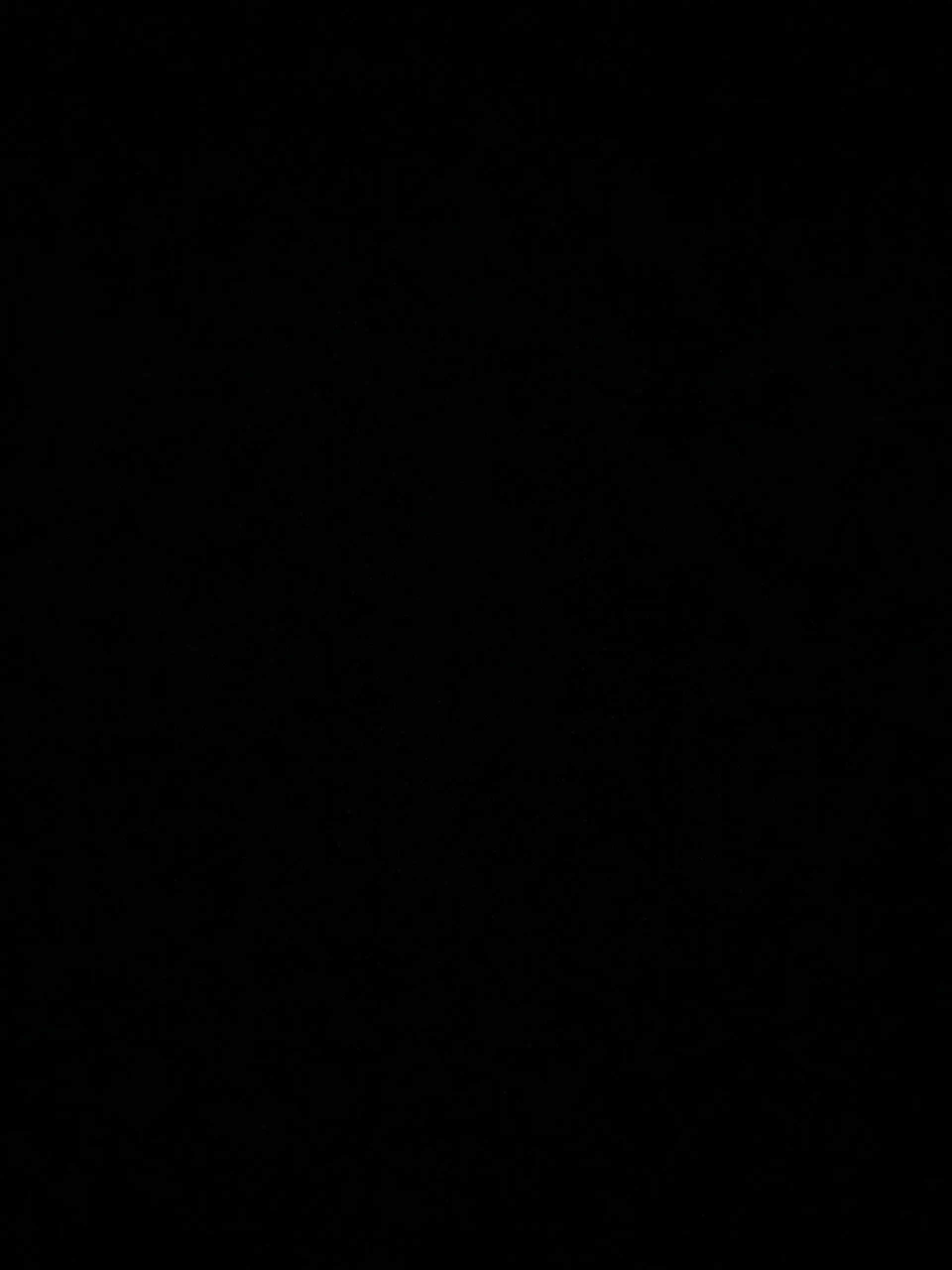 avxo OnlyFans header