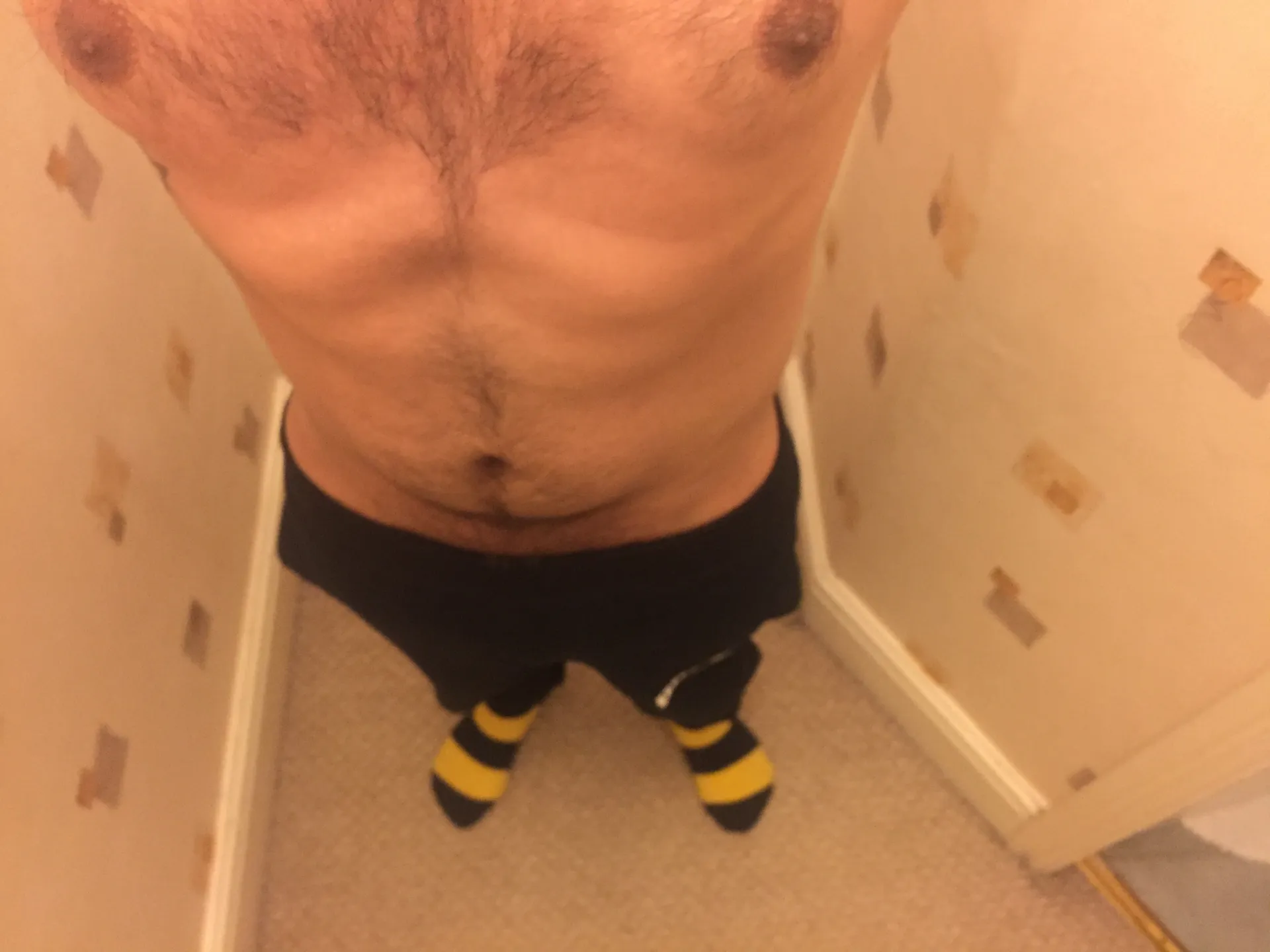 Avocado Cat OnlyFans header